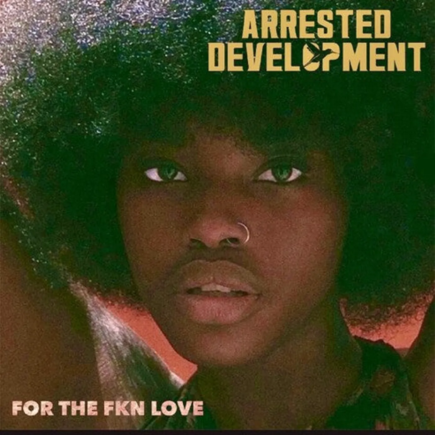 Arrested Development LP Vinyl - For The Fkn Love