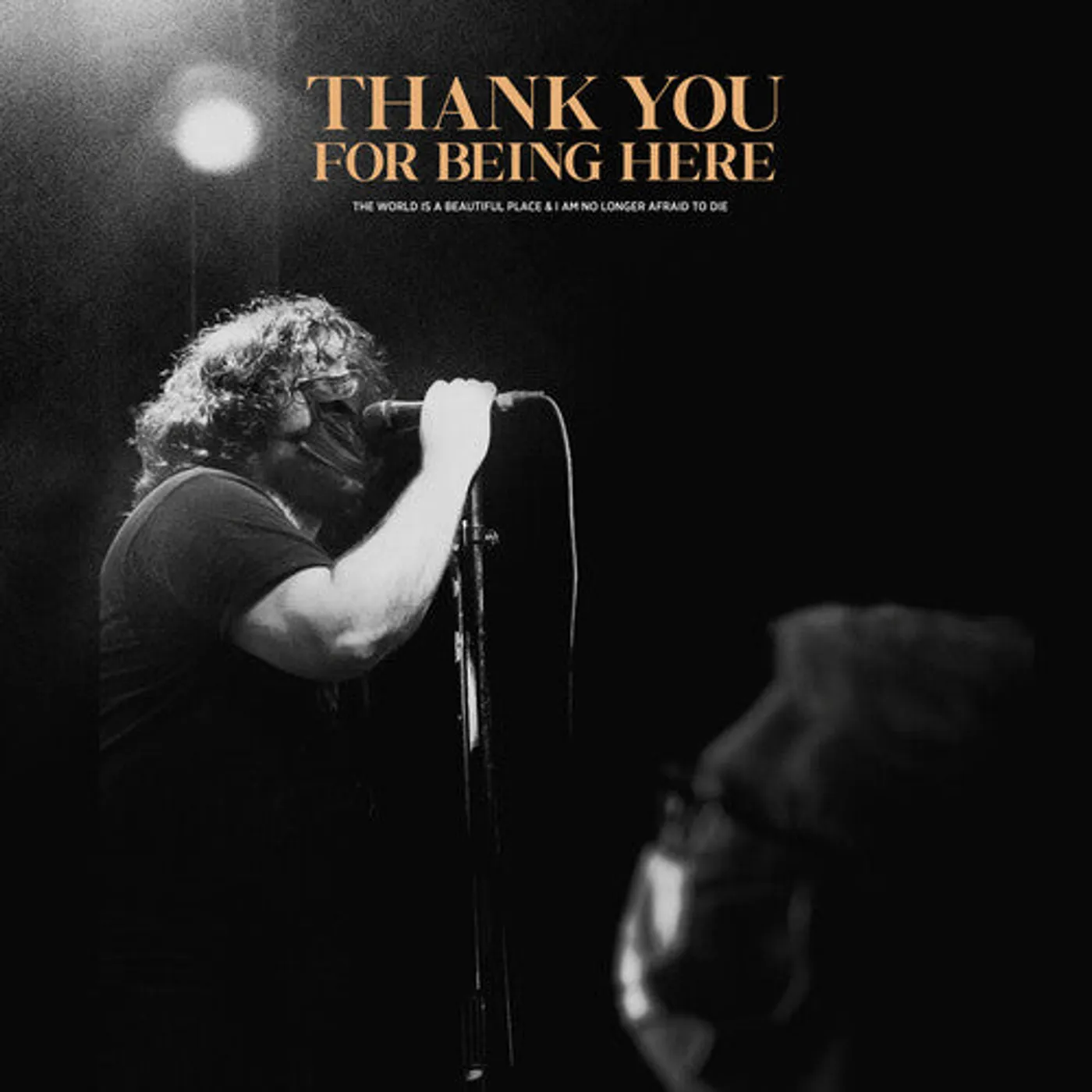The World Is A Beautiful Place & I Am No Longer Afraid To Die LP Vinyl - Thank You For Being Here (Live) (Gate Fold)