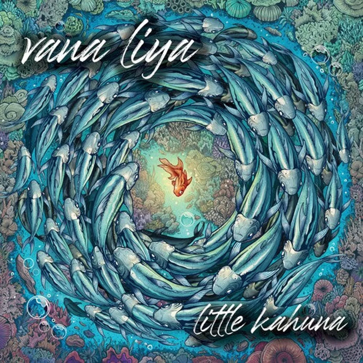 Vana Liya LP Vinyl - Little Kahuna (Blue) (Coloured Vinyl) (Org) (Ylw) (Aniv)