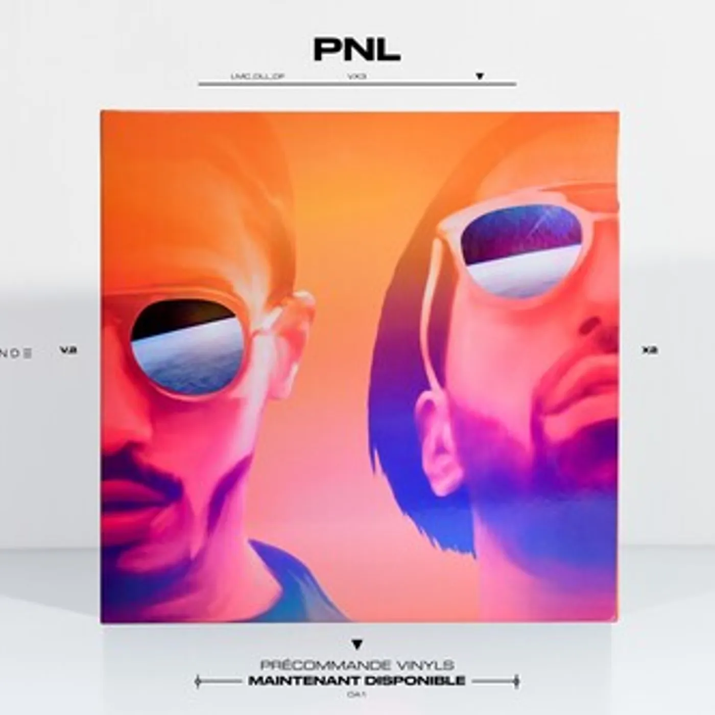 Pnl LP Vinyl - Dans La Legende (Gate Fold)