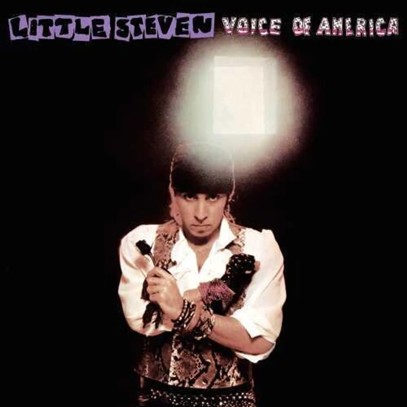 Little Steven LP Vinyl - Voice Of America