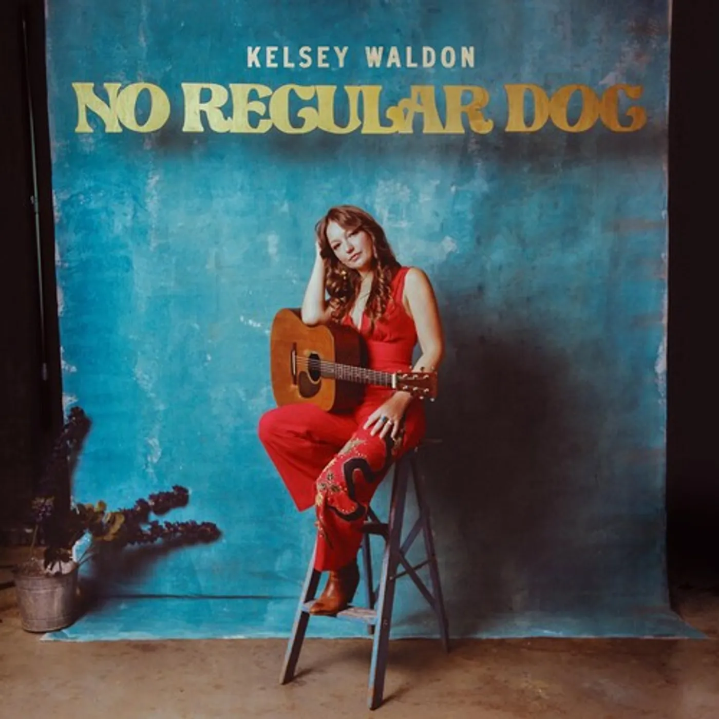 Kelsey Waldon LP Vinyl - No Regular Dog