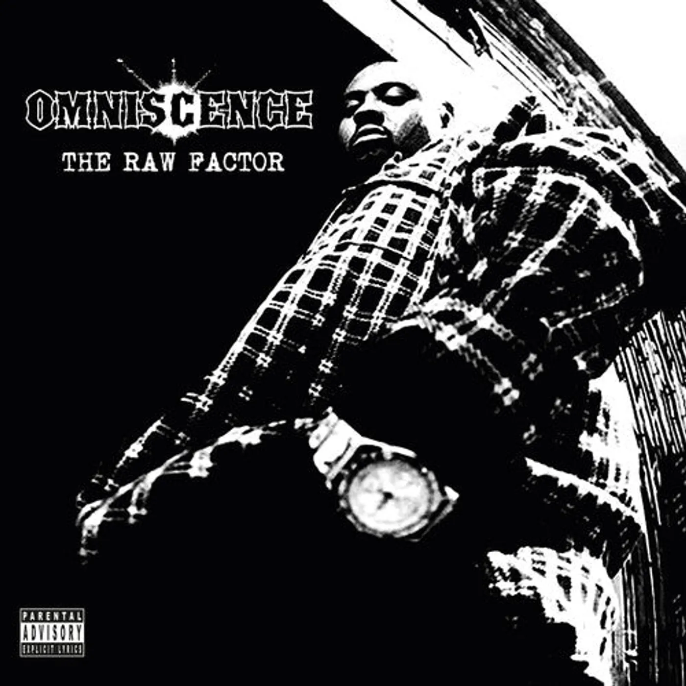 Omniscence LP Vinyl - Raw Factor (Coloured Vinyl) (Purp)