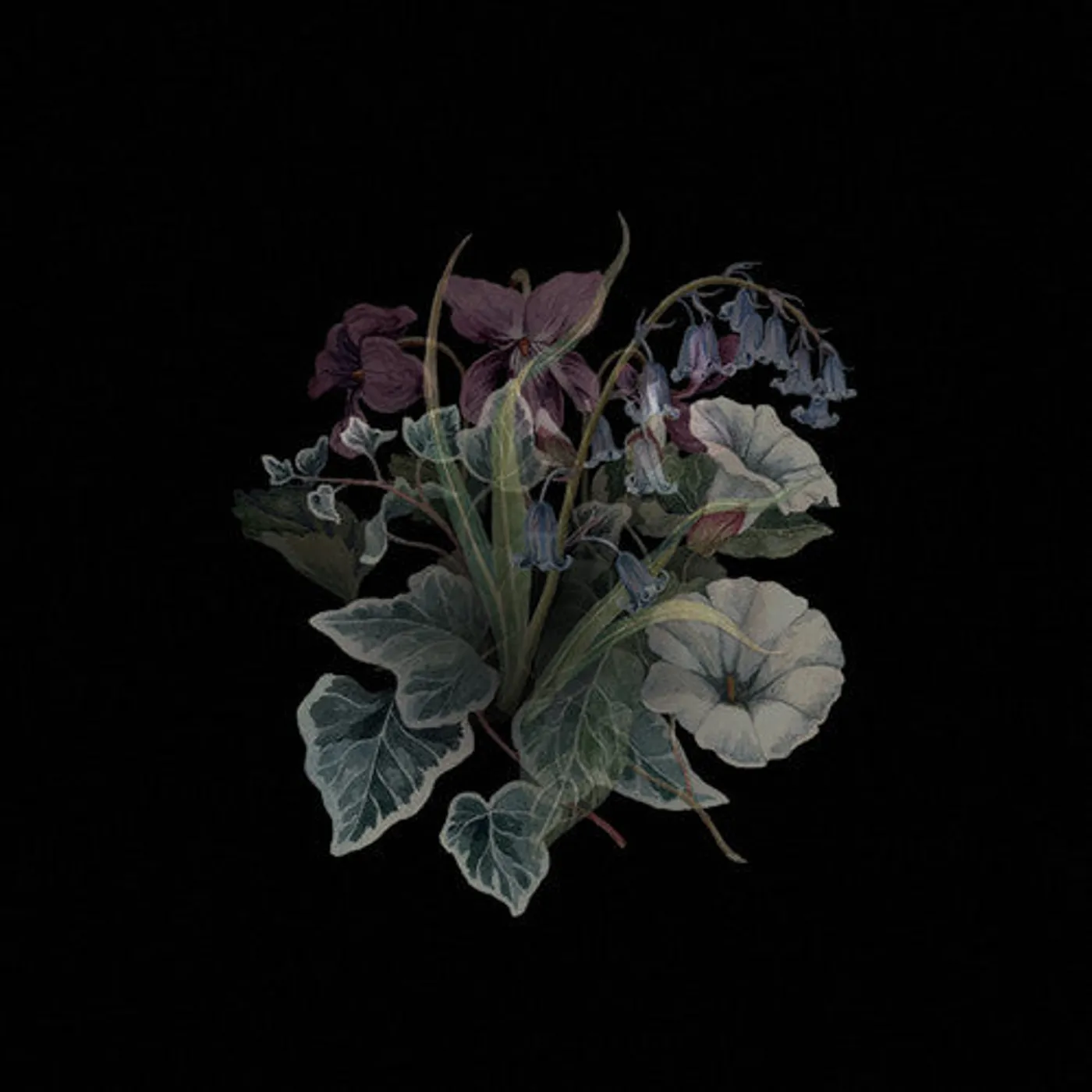 Nhor LP Vinyl - Wildflowers (Blk) (Gate Fold) (Ltd) (Ogv)