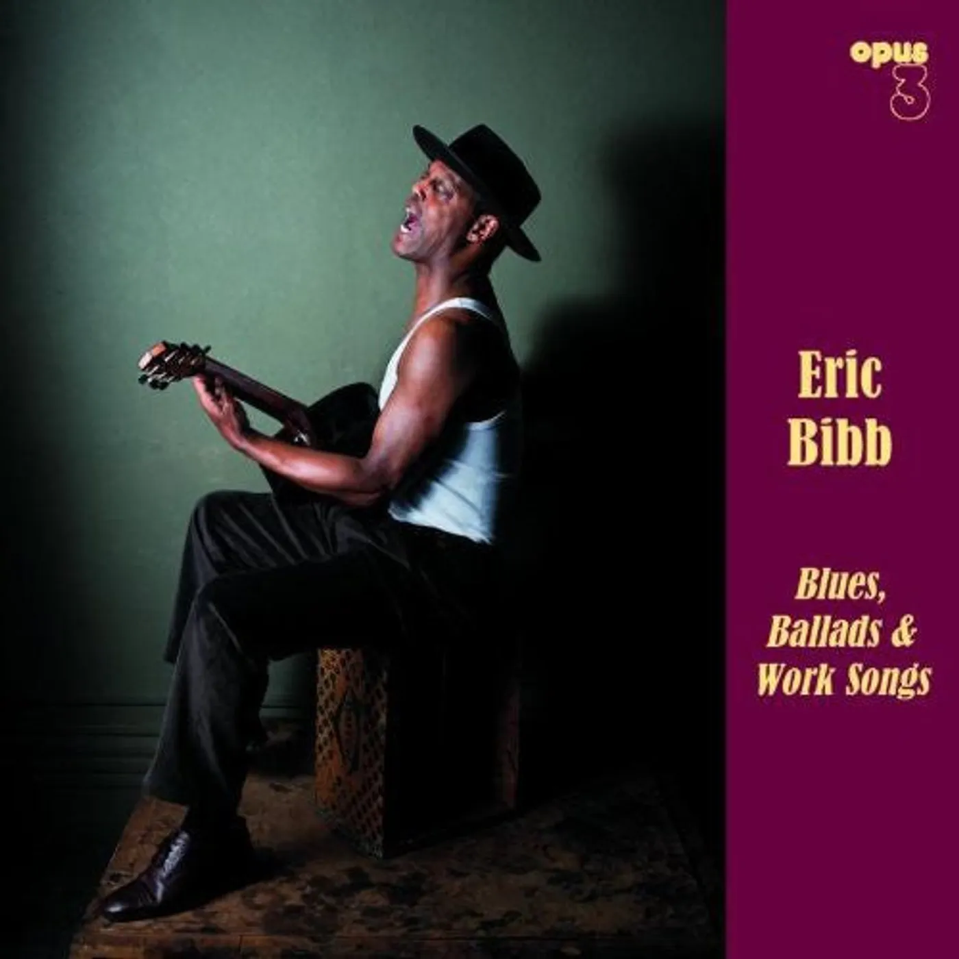 Eric Bibb LP Vinyl - Blues Ballads & Work Songs (Ogv)