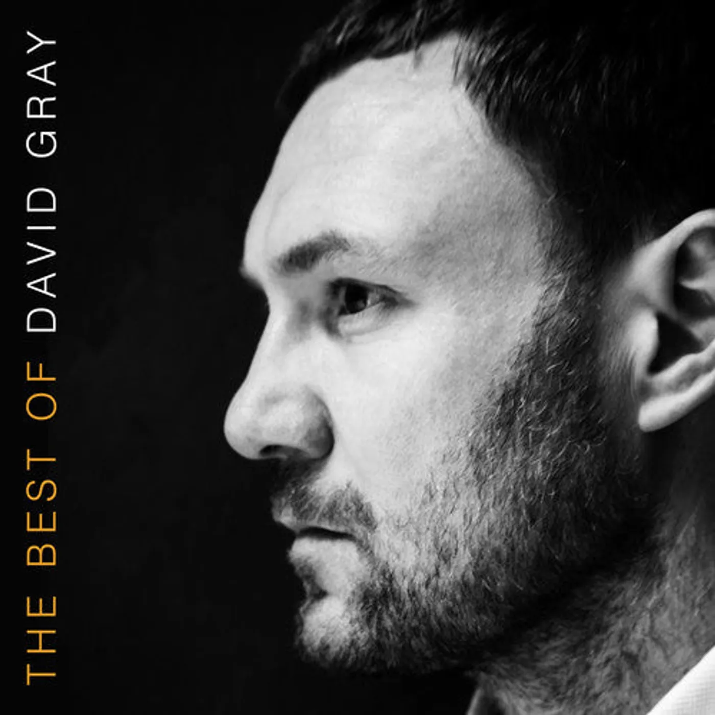 David Gray LP Vinyl - The Best Of David Gray (Gate Fold)
