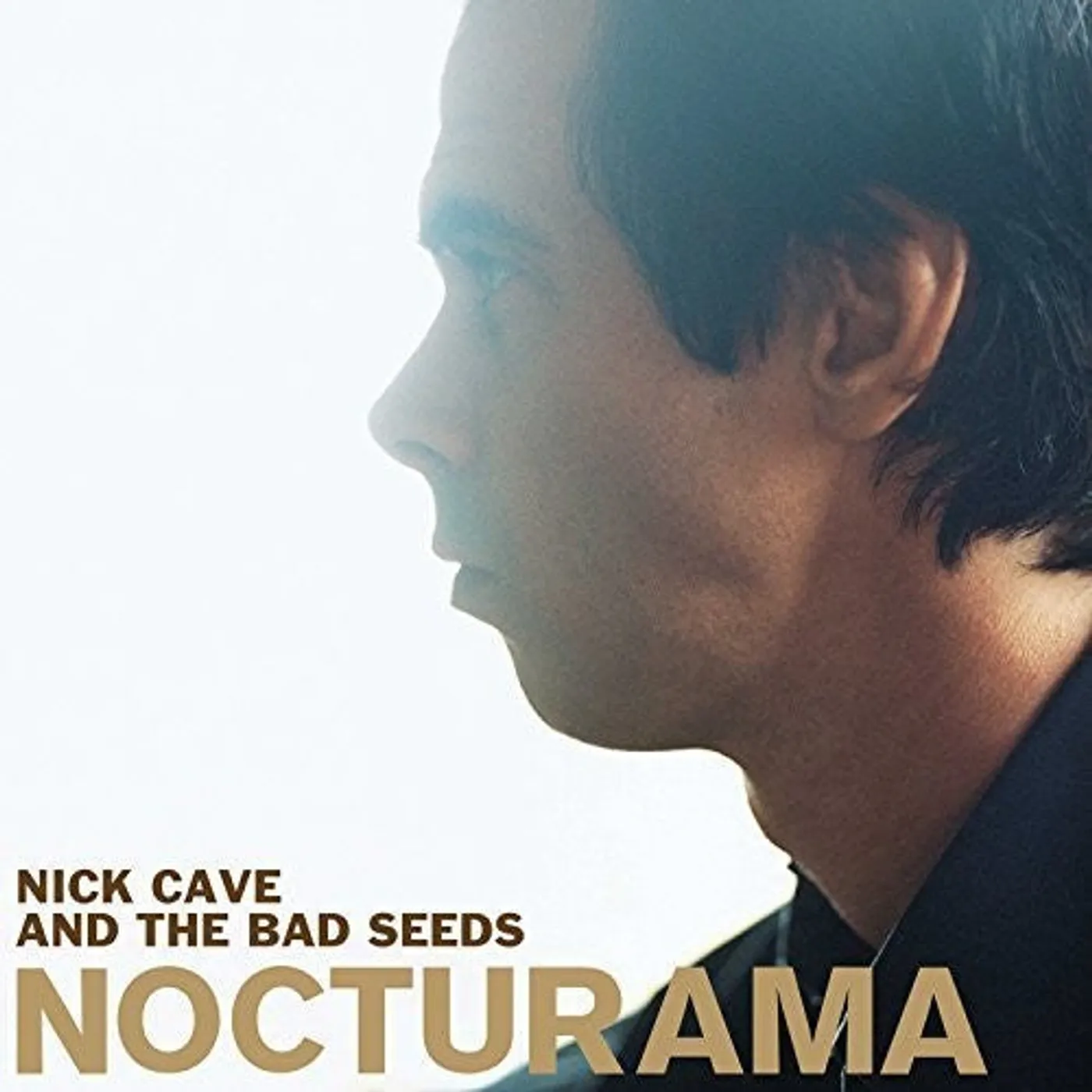 Nick & Bad Seeds Cave LP Vinyl - Nocturama