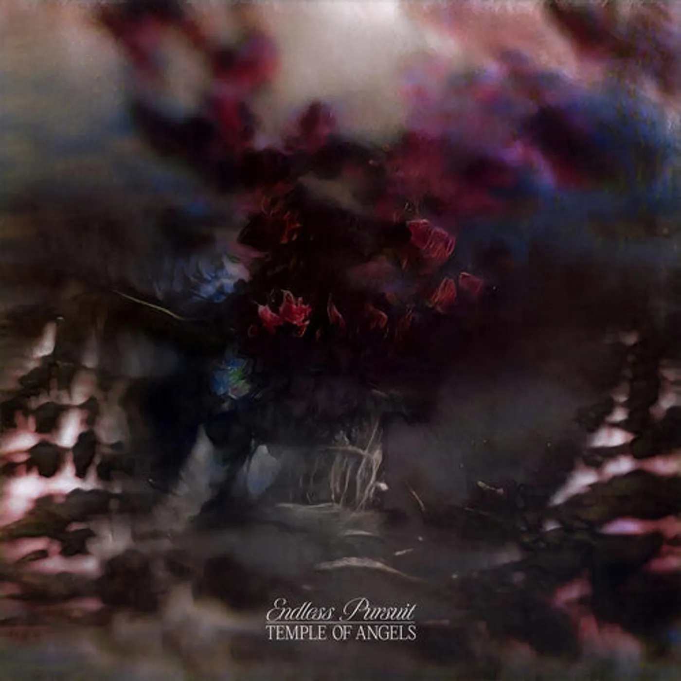 Temple Of Angels LP Vinyl - Endless Pursuit - Cloudy Clear (Cvnl)