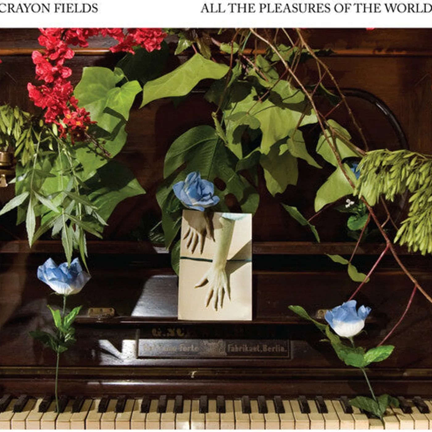 The Crayon Fields LP Vinyl - All The Pleasures Of The World (Deluxe Edition) (C
