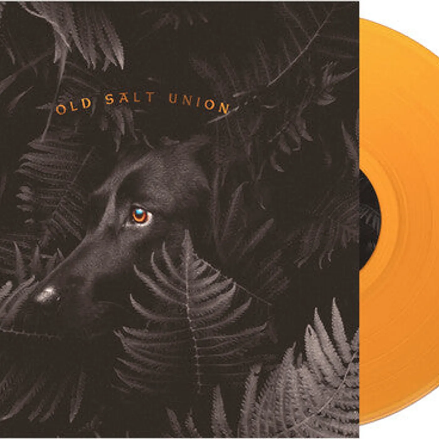 Old Salt Union LP Vinyl - Where The Dogs Don'T Bite (Ltd) (Ofv) (Org)