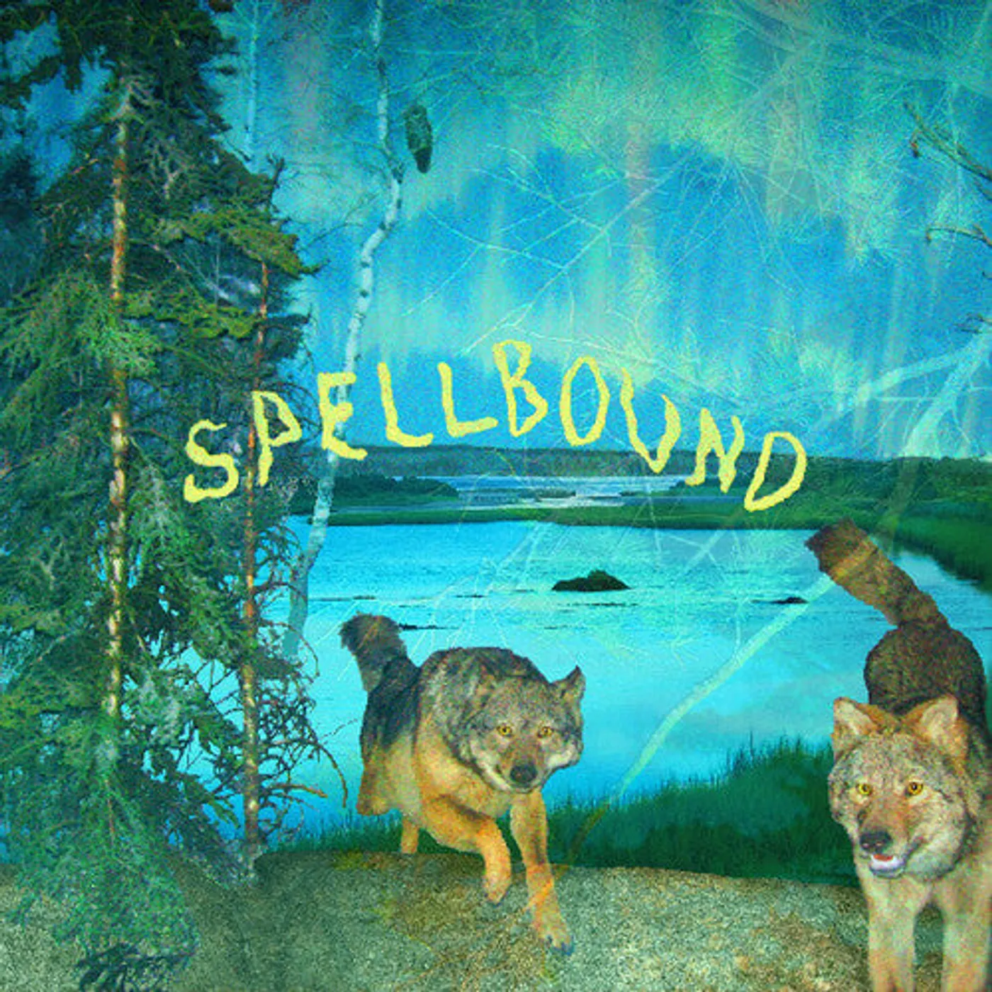 Boyscott LP Vinyl - Spellbound (Coloured Vinyl) (Grn) (Stic) (Ylw) (Dlcd)