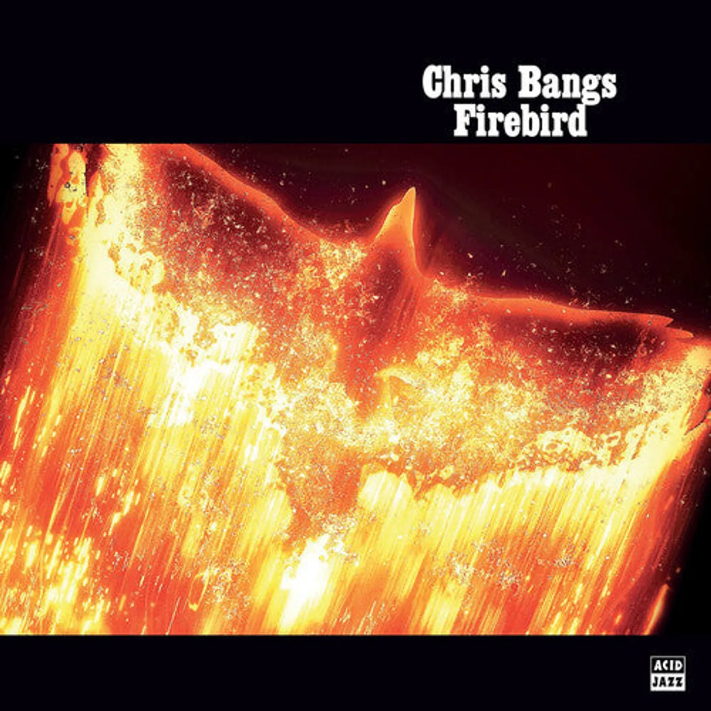 Chris Bangs LP Vinyl - Firebird