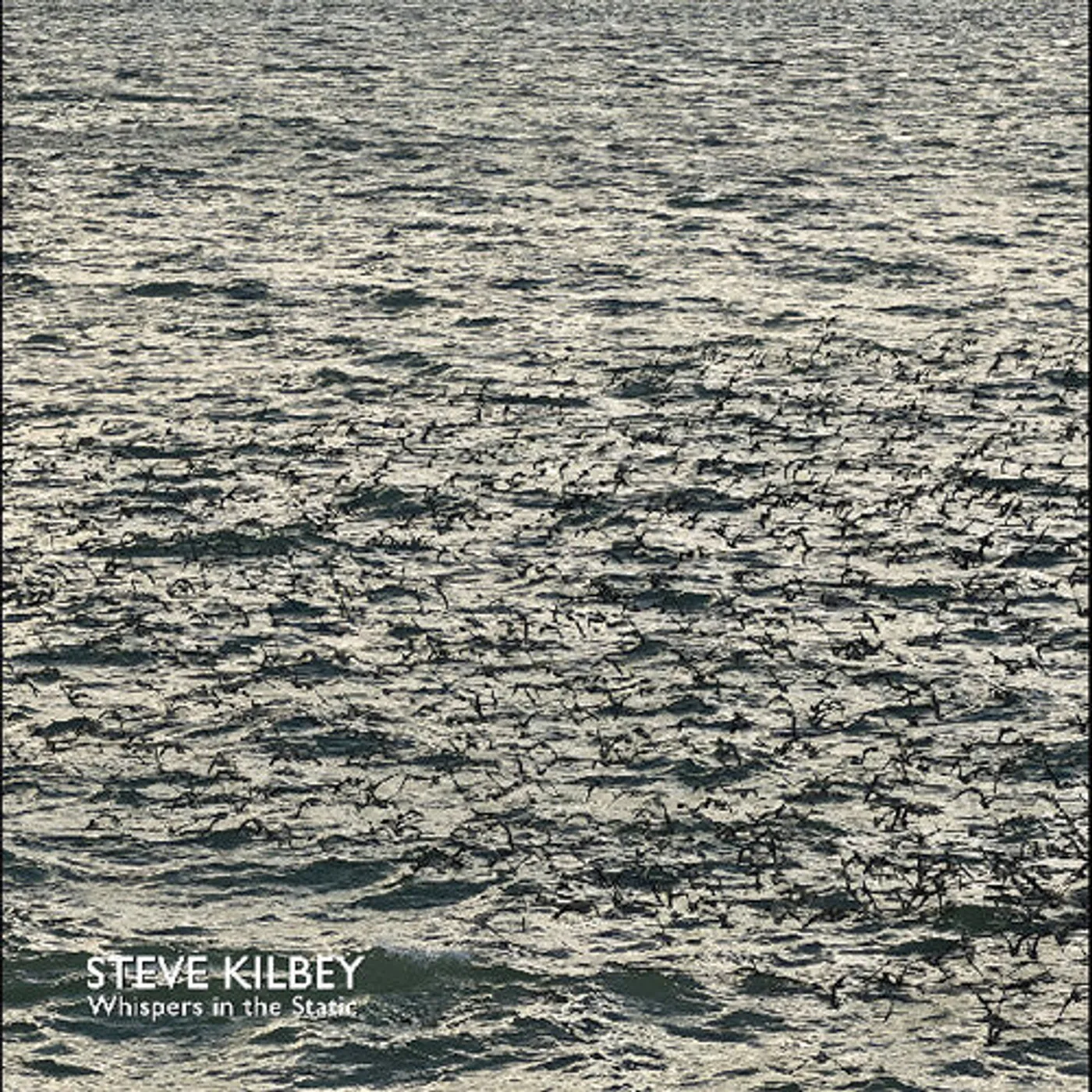 Steve Kilbey LP Vinyl - Whispers In The Static (Coloured Vinyl) (Gry)