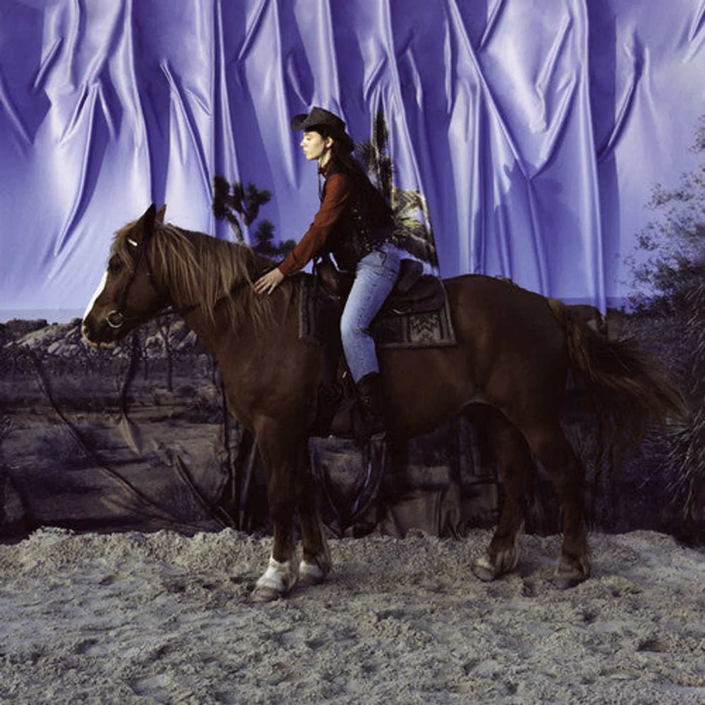 Holy Motors LP Vinyl - Horse
