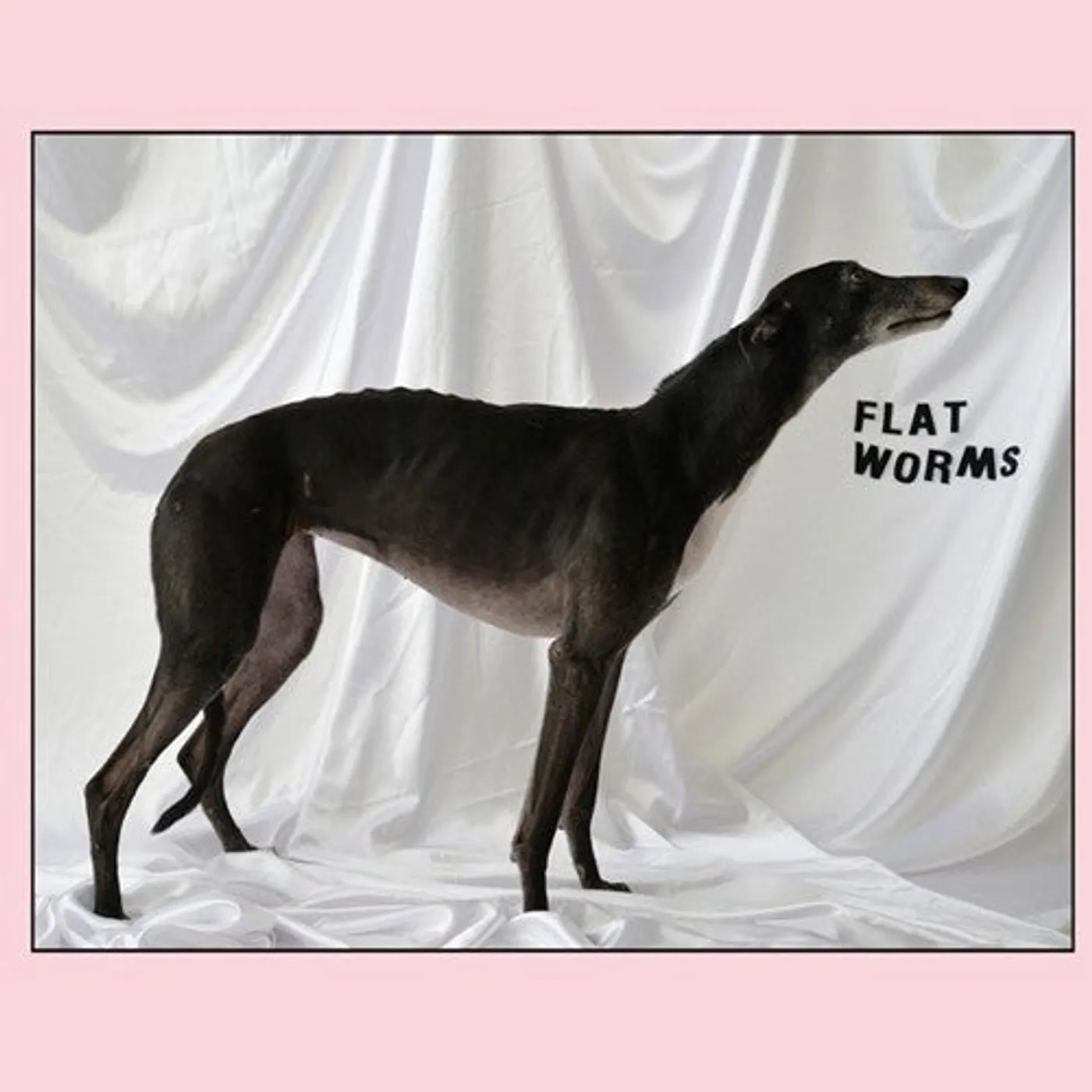 Flat Worms LP Vinyl - Flat Worms