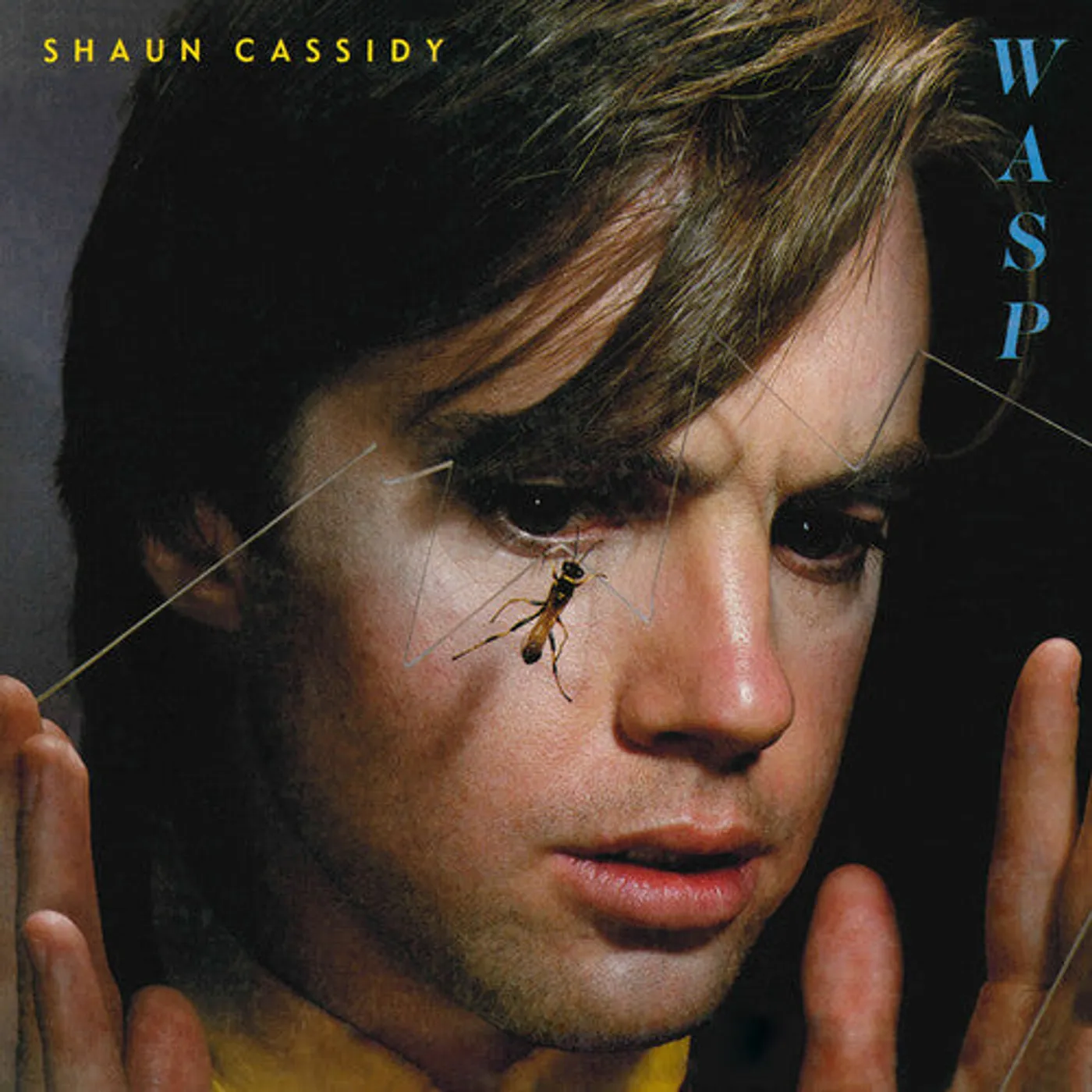 Shaun Cassidy LP Vinyl - Wasp