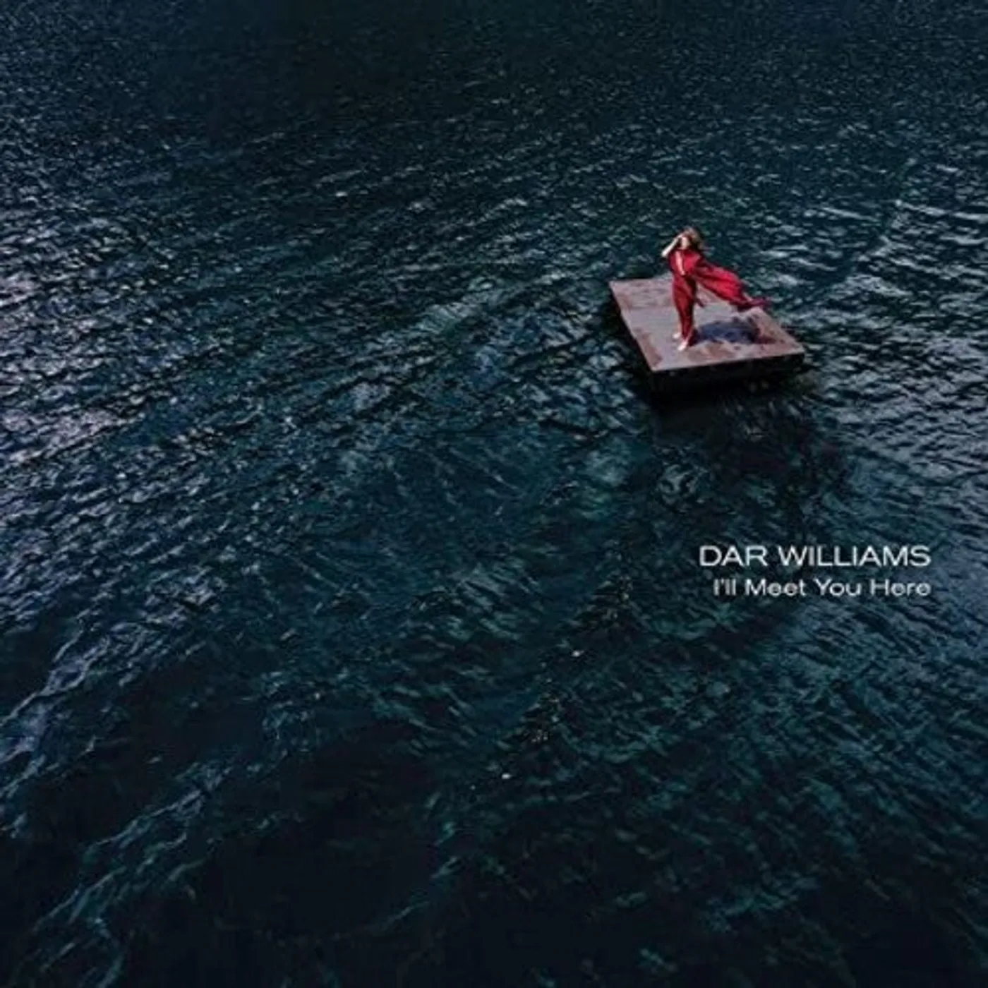 Dar Williams LP Vinyl - I'Ll Meet You Here
