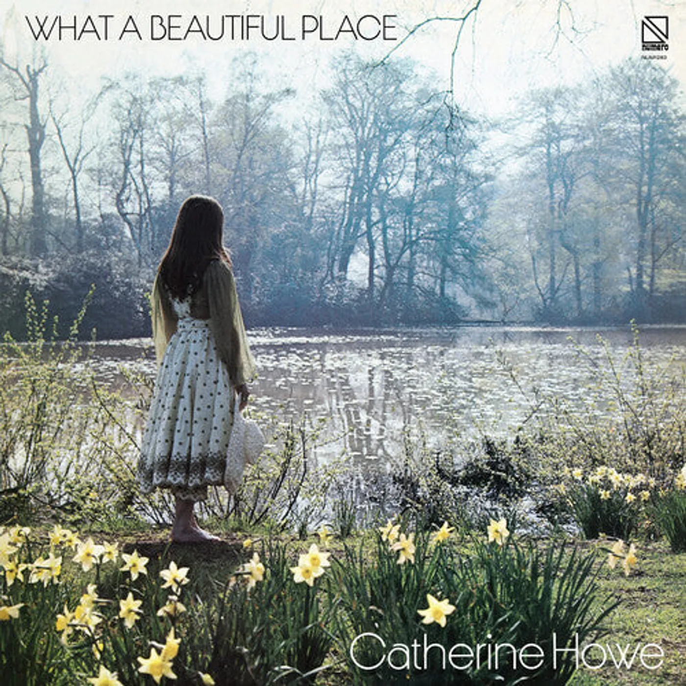 Catherine Howe LP Vinyl - What A Beautiful Place - Yellow (Coloured Vinyl) (Ylw)
