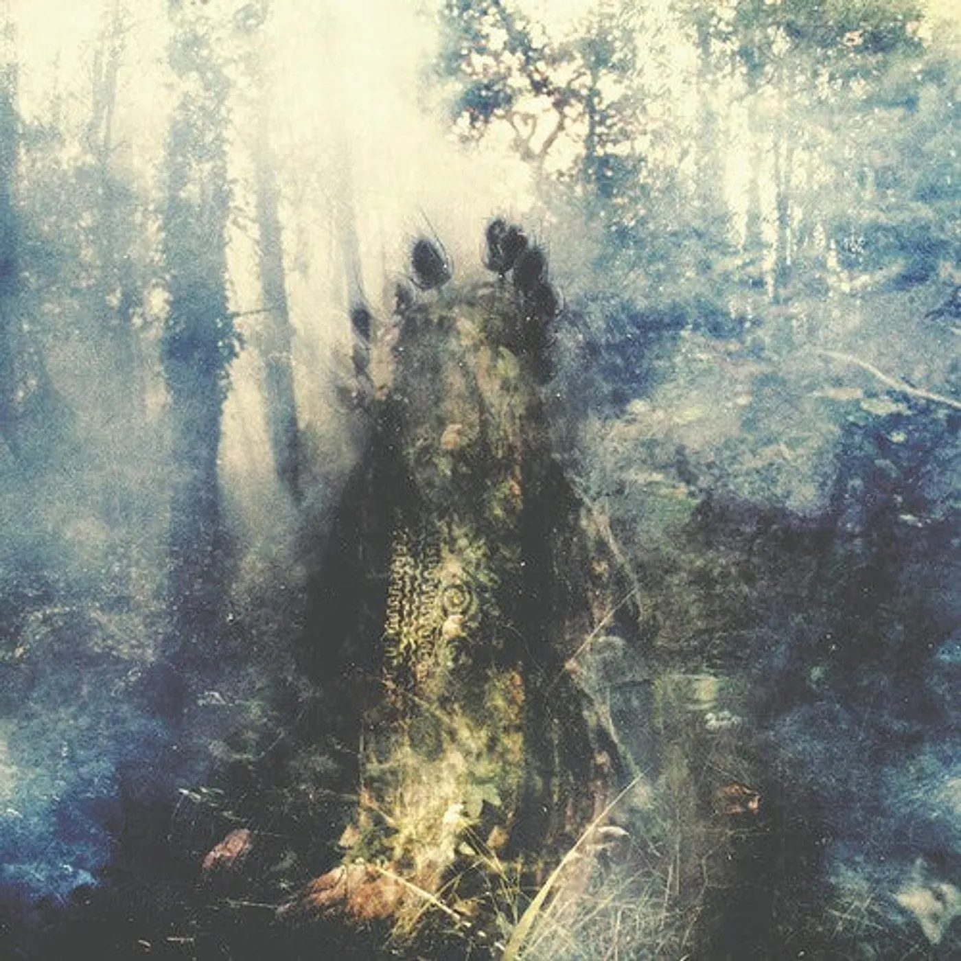 Sylvaine LP Vinyl - Wistful (Bonus Track) (Cvnl) (Gate Fold) (Ltd) (Trq)
