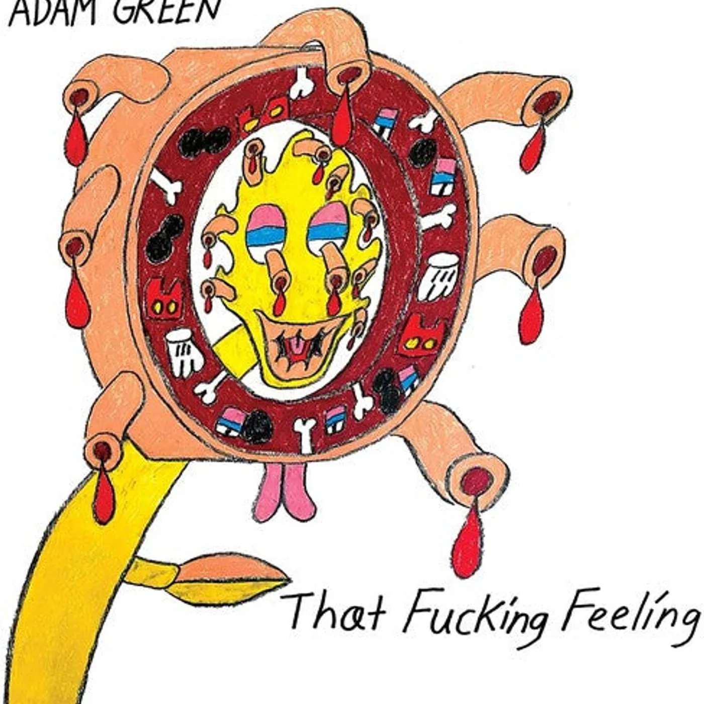 Adam Green LP Vinyl - That Fucking Feeling