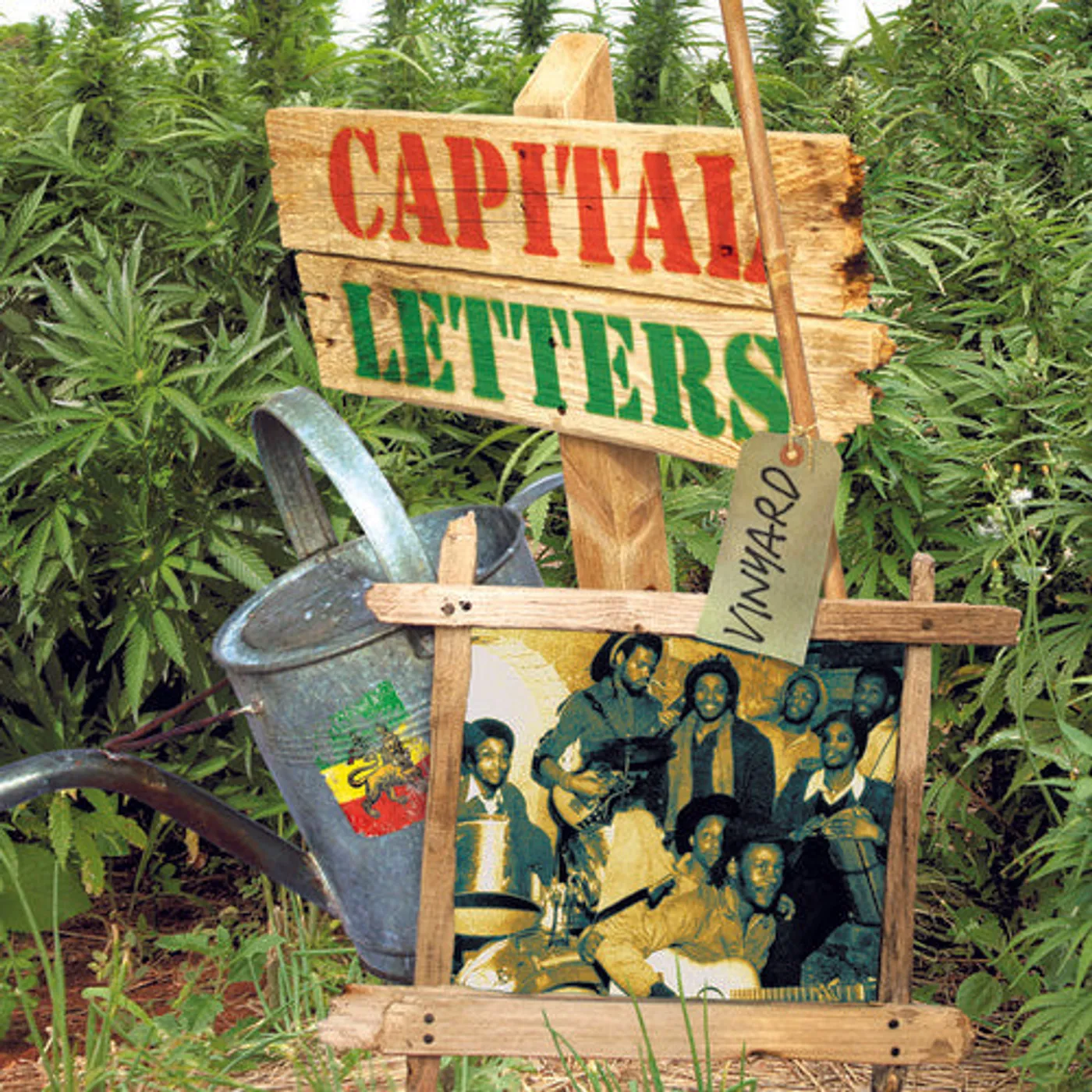 Capital Letters LP Vinyl - Vinyard