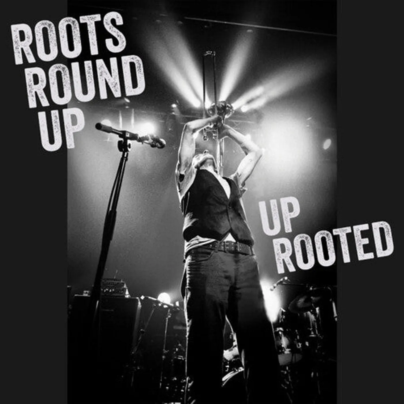 Roots Round Up LP Vinyl - Up Rooted