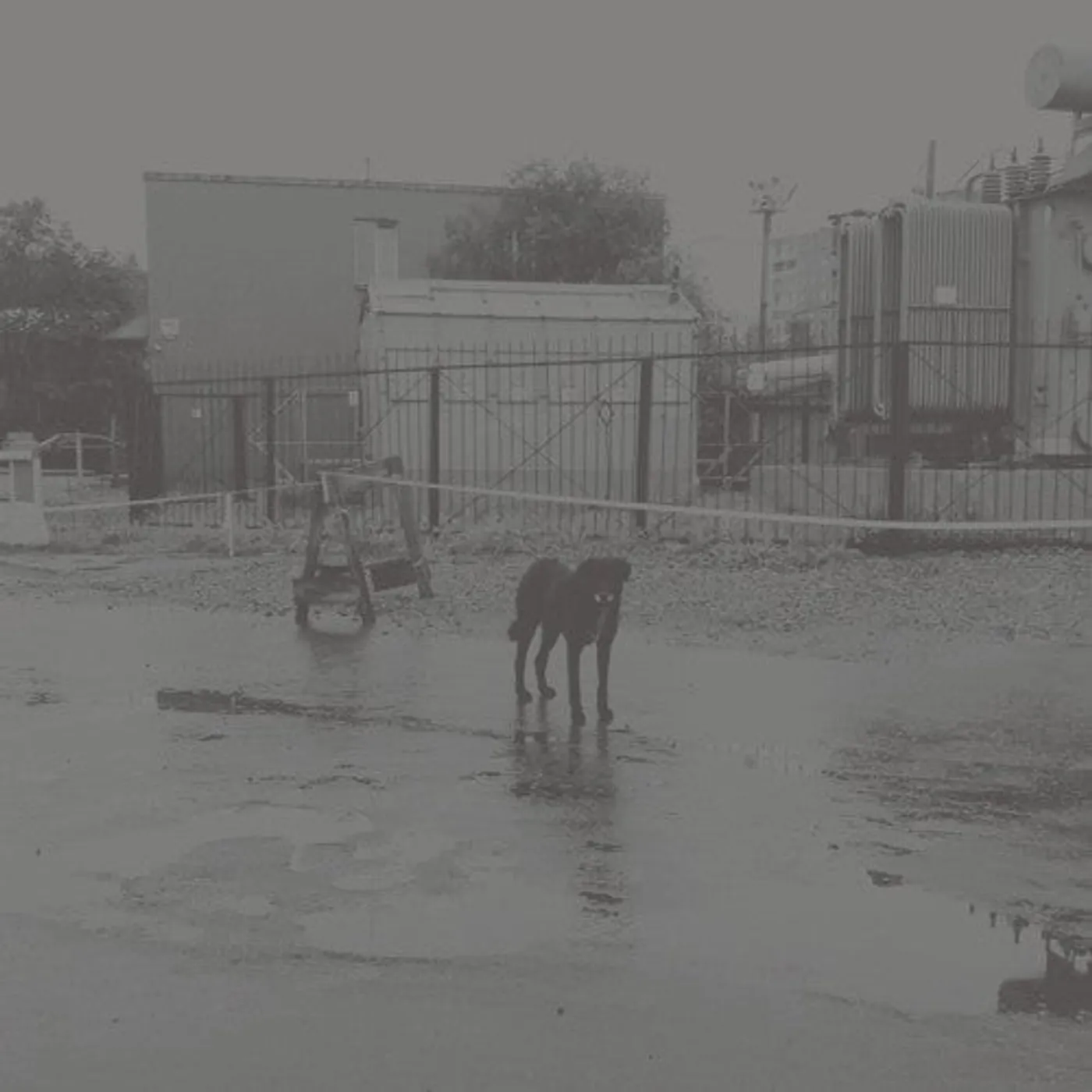 Nivhek LP Vinyl - After Its Own Death / Walking In A Spiral Towards
