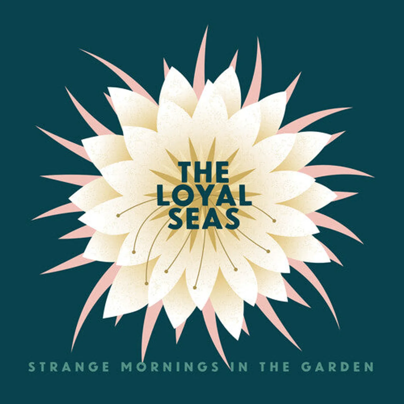 The Loyal Seas LP Vinyl - Strange Mornings In The Garden (Pink Rose) (Coloured Vinyl)