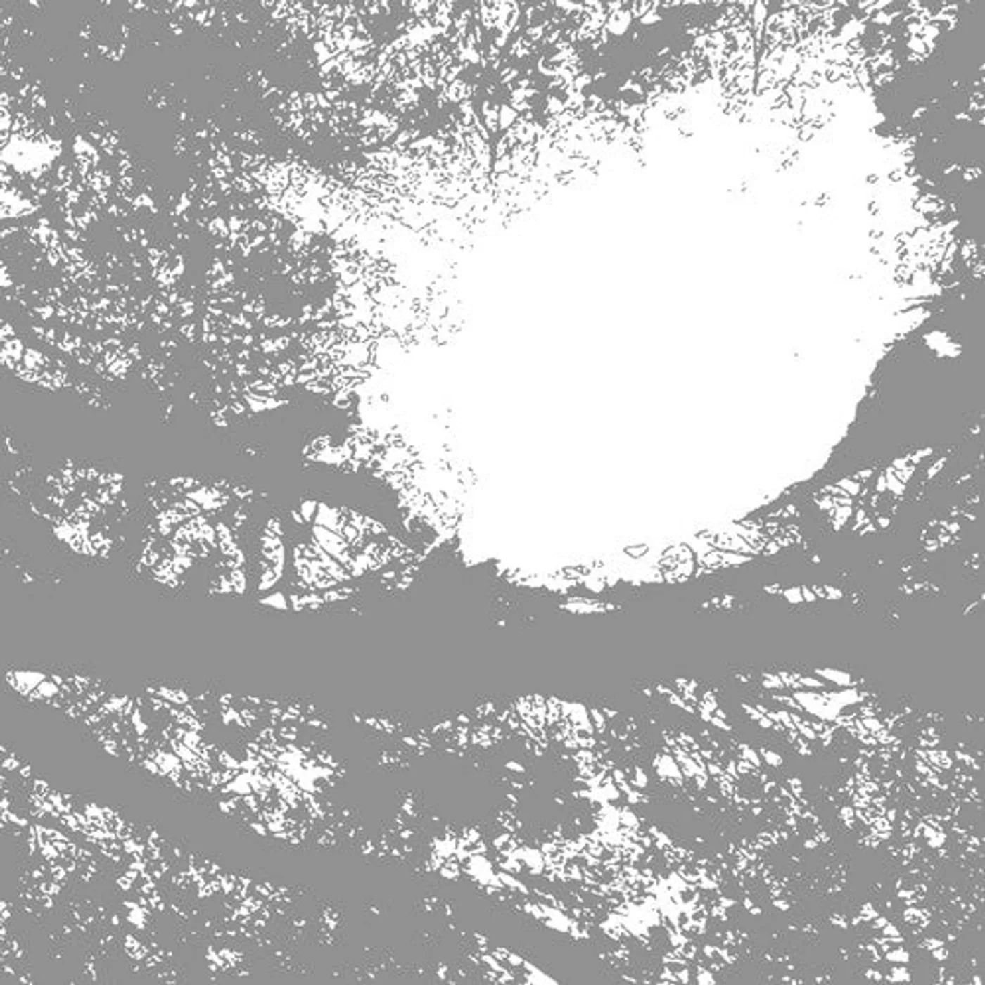 Comets On Fire LP Vinyl - Field Recordings From The Sun