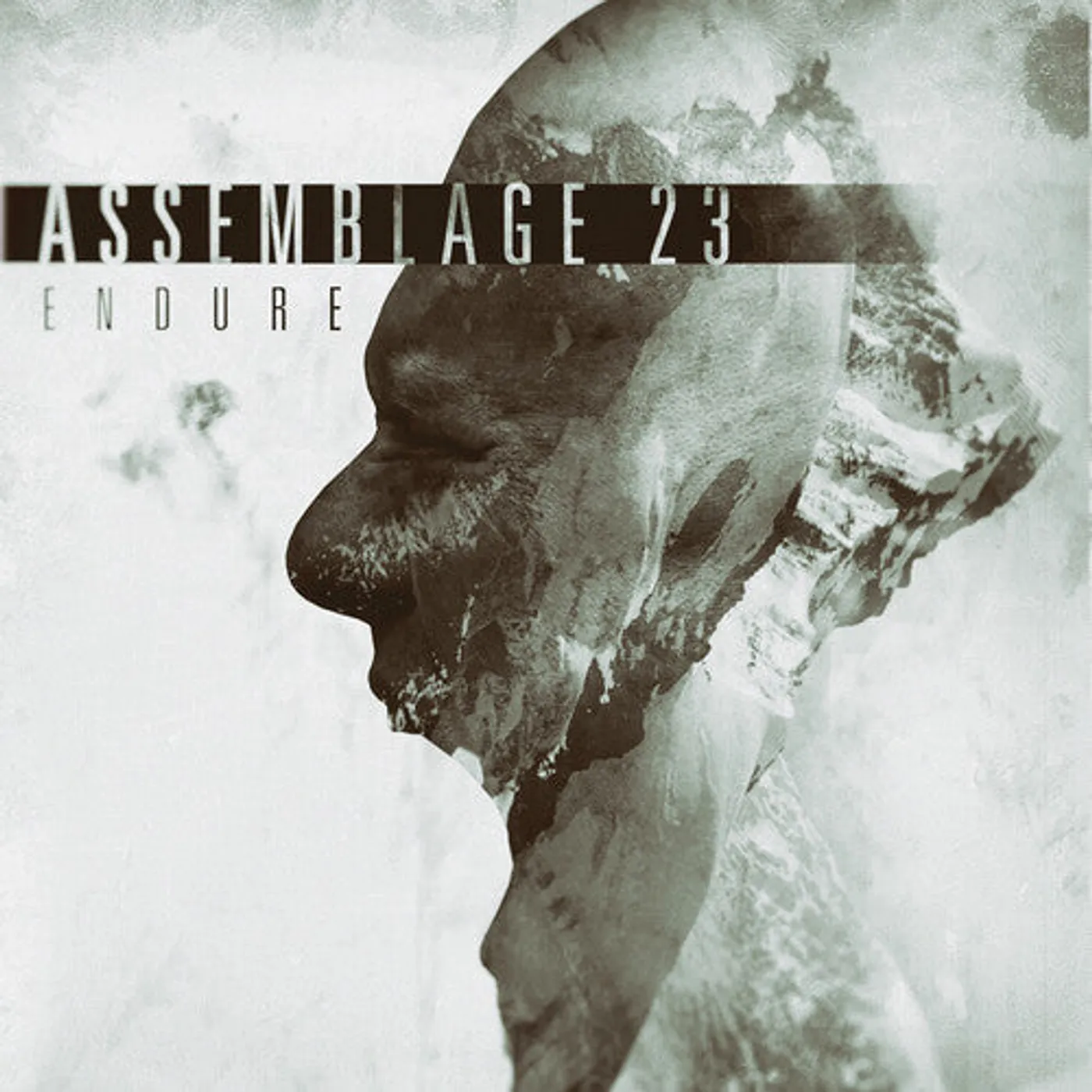 Assemblage 23 LP Vinyl - Endure (Ltd)