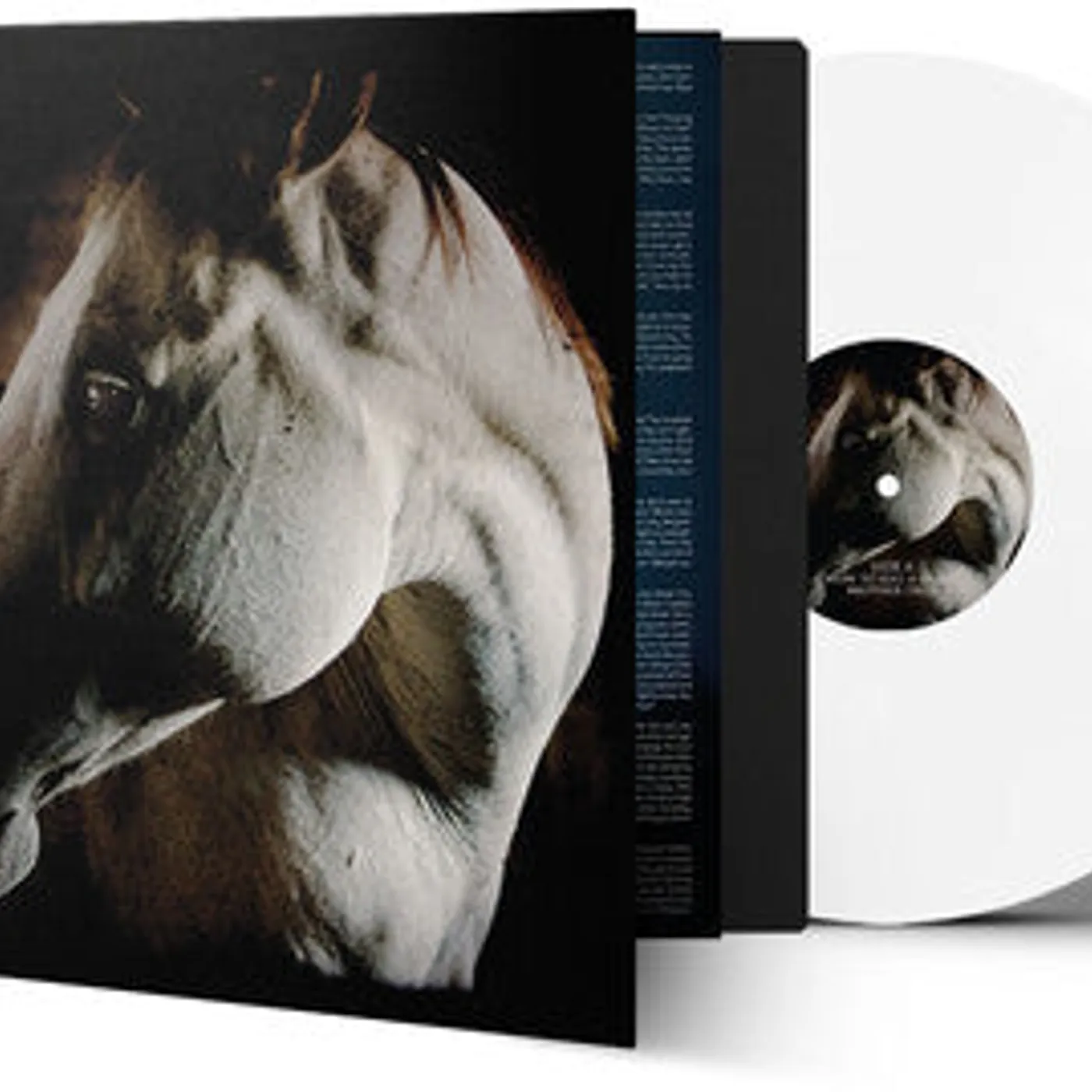 Brother Dege LP Vinyl - How To Kill A Horse (Coloured Vinyl) (Gate Fold) (Wht)
