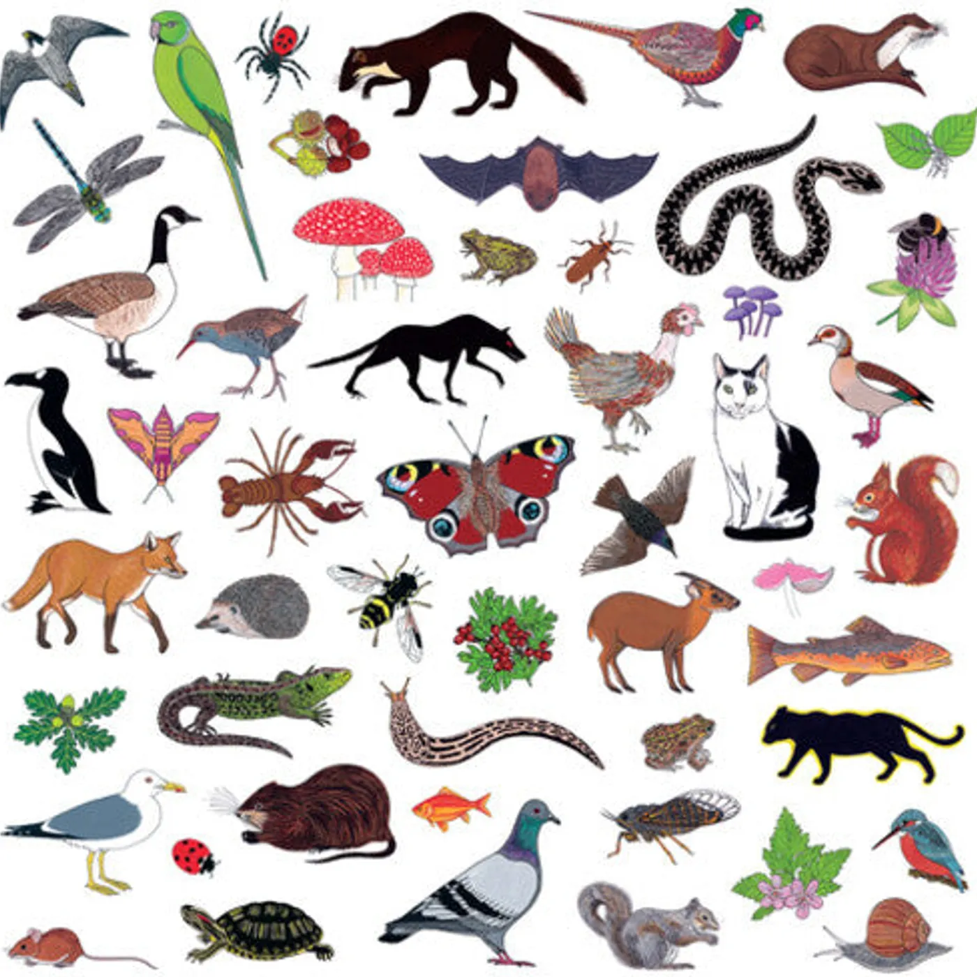 Modern Nature LP Vinyl - Island Of Noise