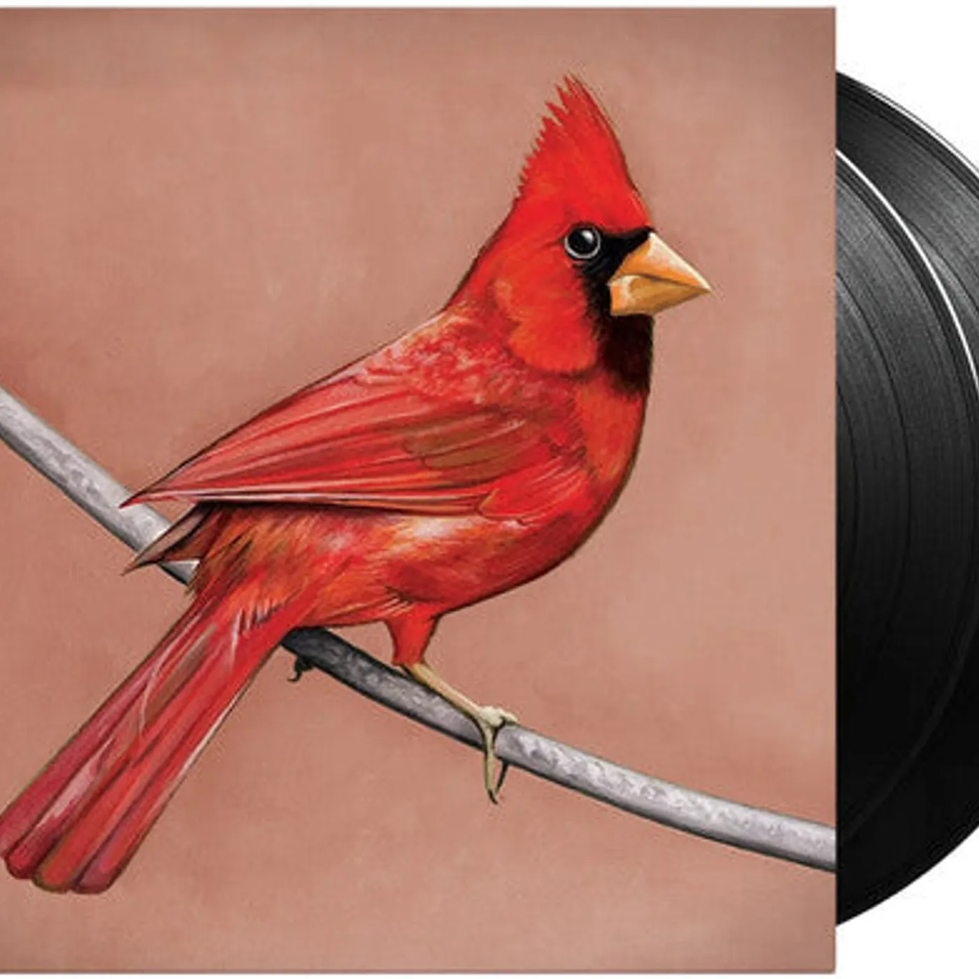 Alexisonfire LP Vinyl - Old Crows / Young Cardinals