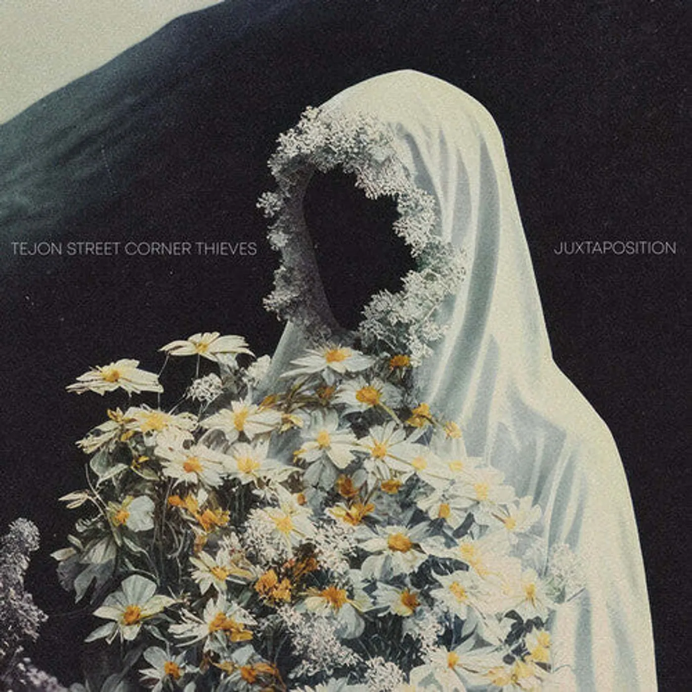 Tejon Street Corner Thieves LP Vinyl - Juxtaposition