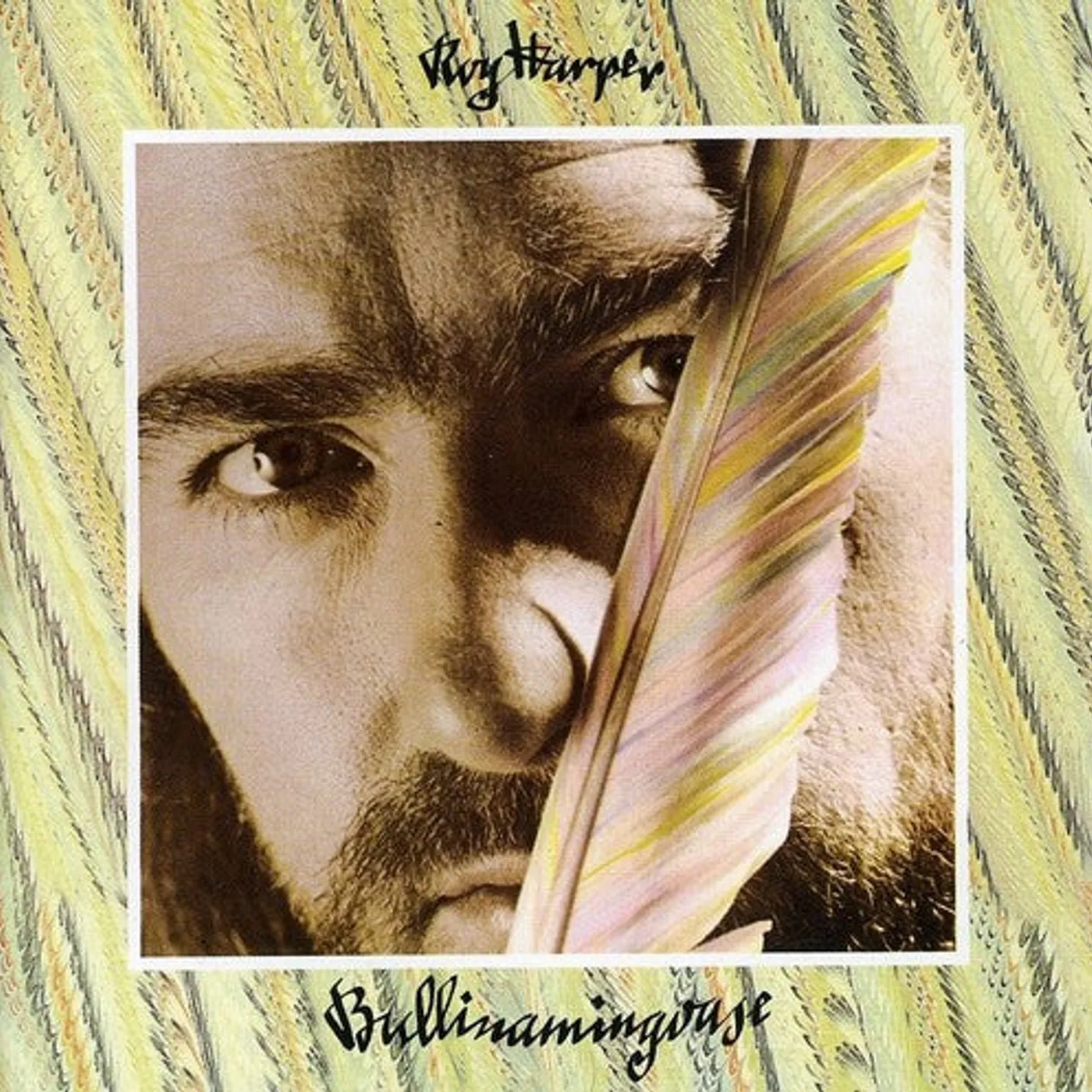 Roy Harper LP Vinyl - Bullinamingvase