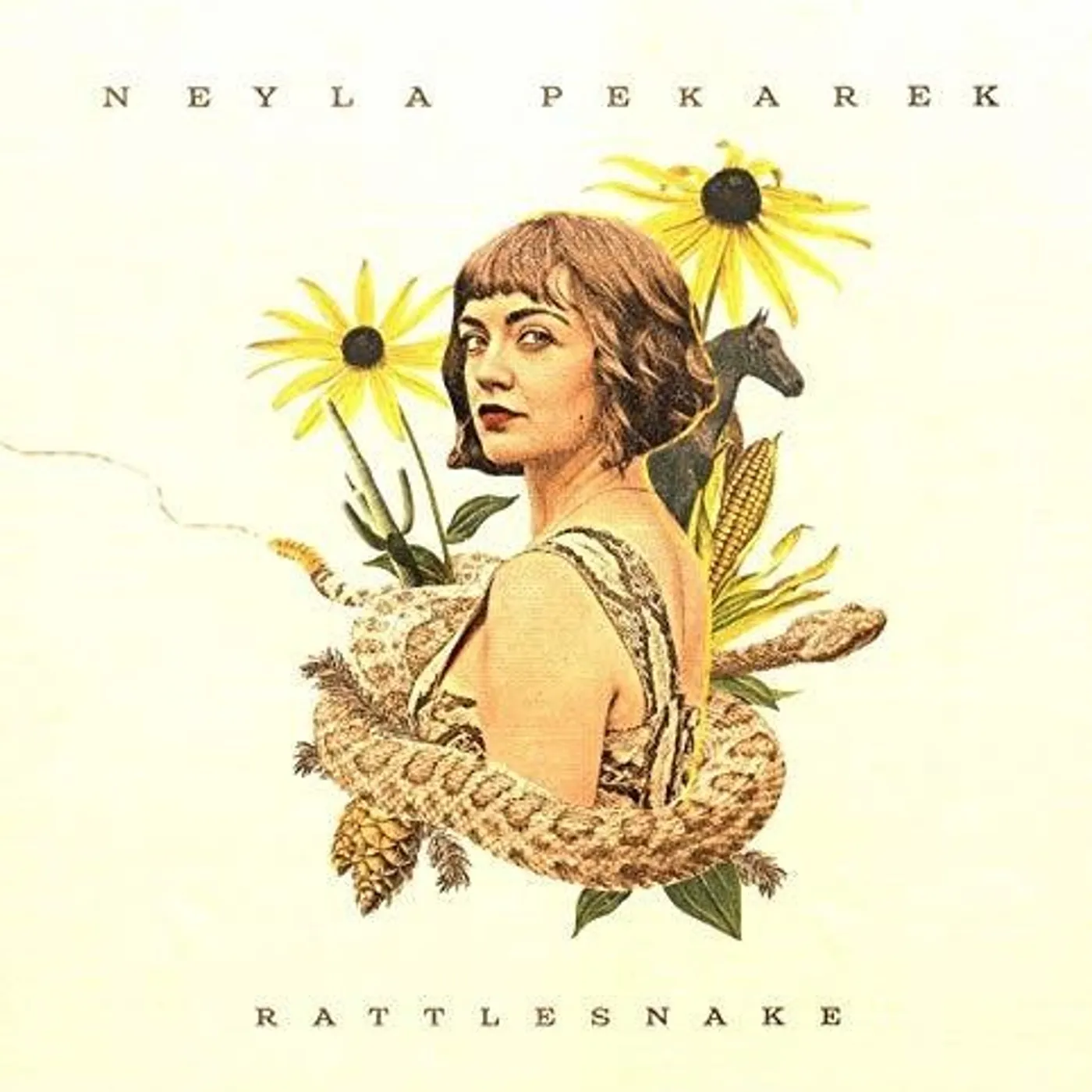 Neyla Pekarek LP Vinyl - Rattlesnake