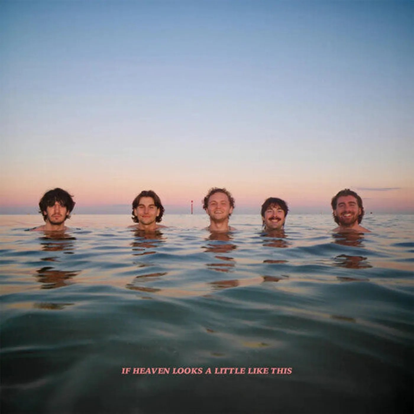 Delights LP Vinyl - If Heaven Looks A Little Like This (Coloured Vinyl) (Org)