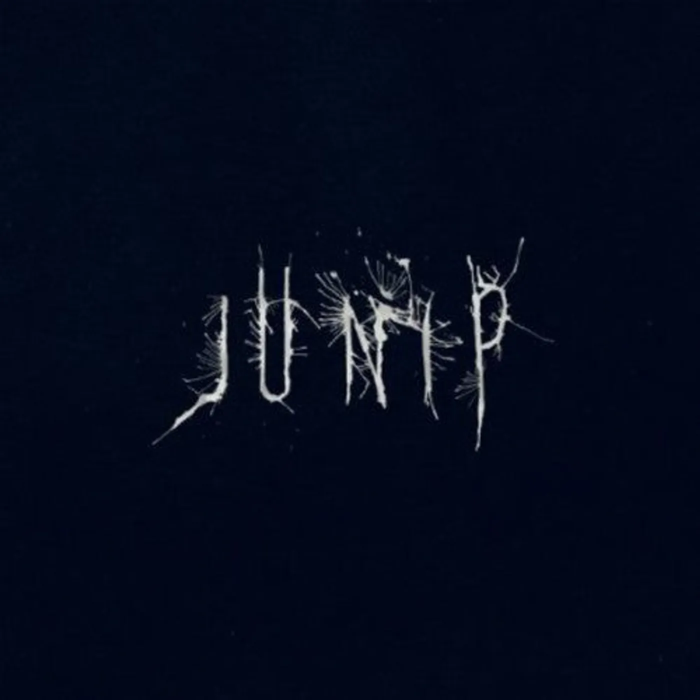 Junip LP Vinyl - Junip