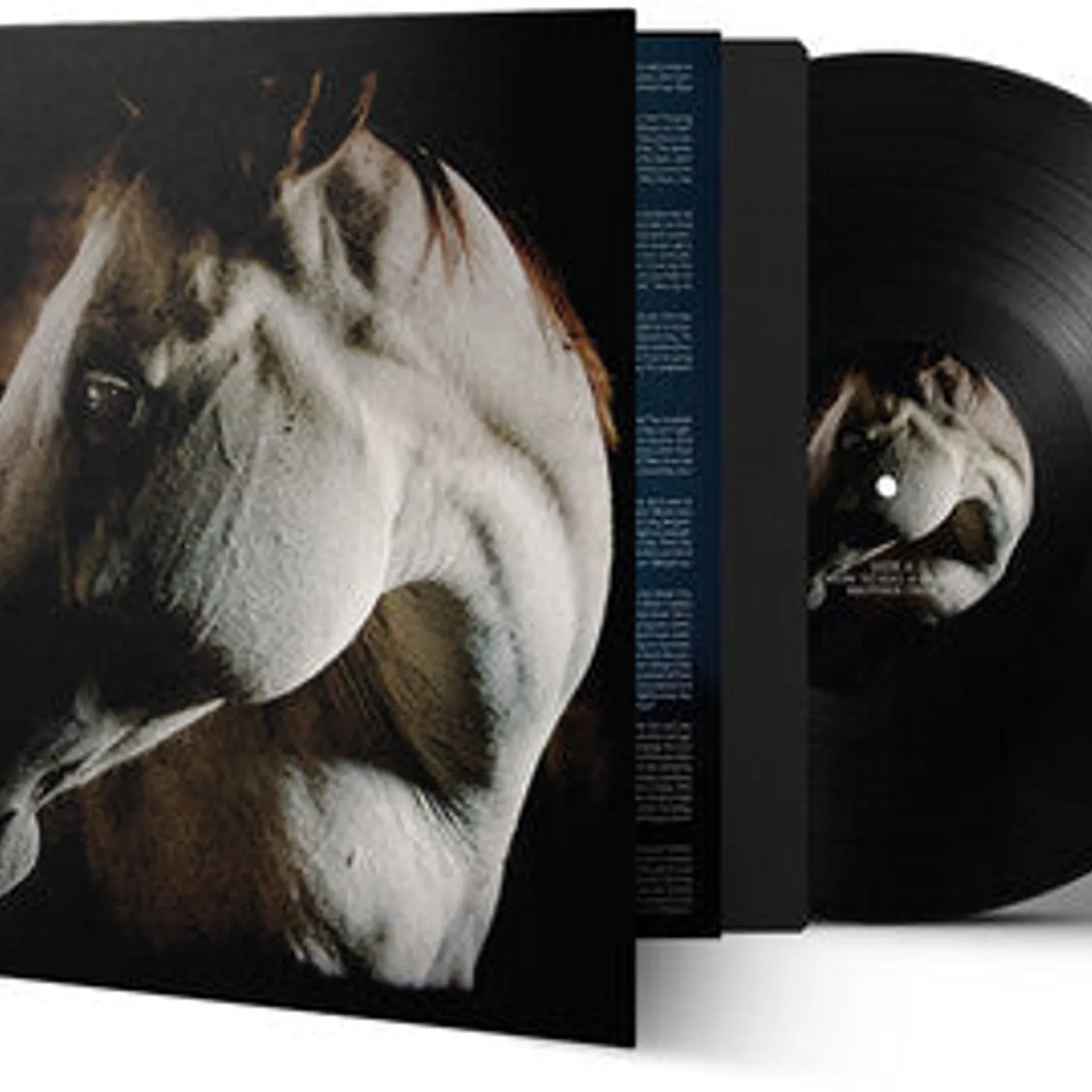Brother Dege LP Vinyl - How To Kill A Horse