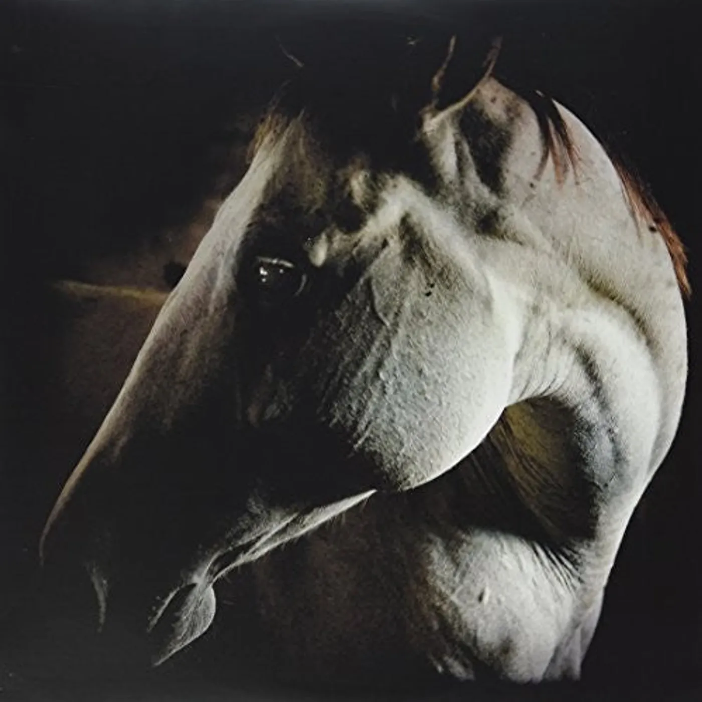 Brother Dege LP Vinyl - How To Kill A Horse