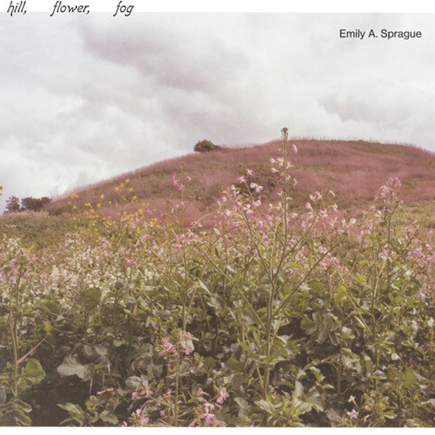 Emily A. Sprague LP Vinyl - Hill Flower Fog - Foggy White (Coloured Vinyl) (Wht)