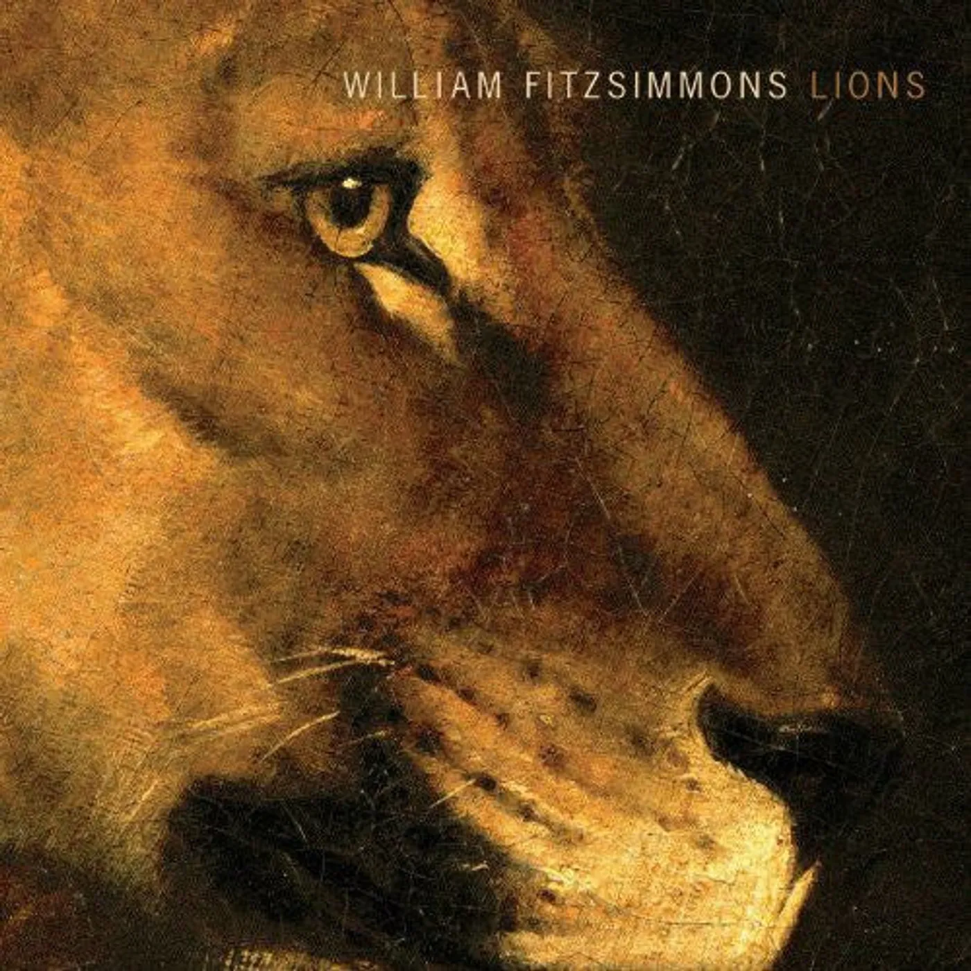 William Fitzsimmons LP Vinyl - Lions (Dlcd)