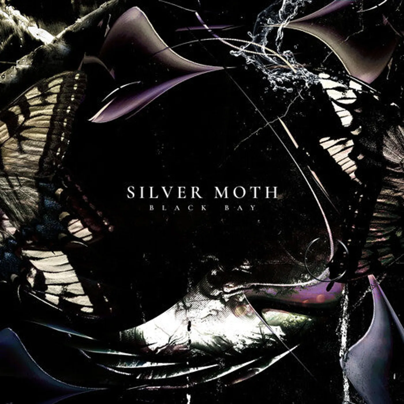 Silver Moth LP Vinyl - Black Bay