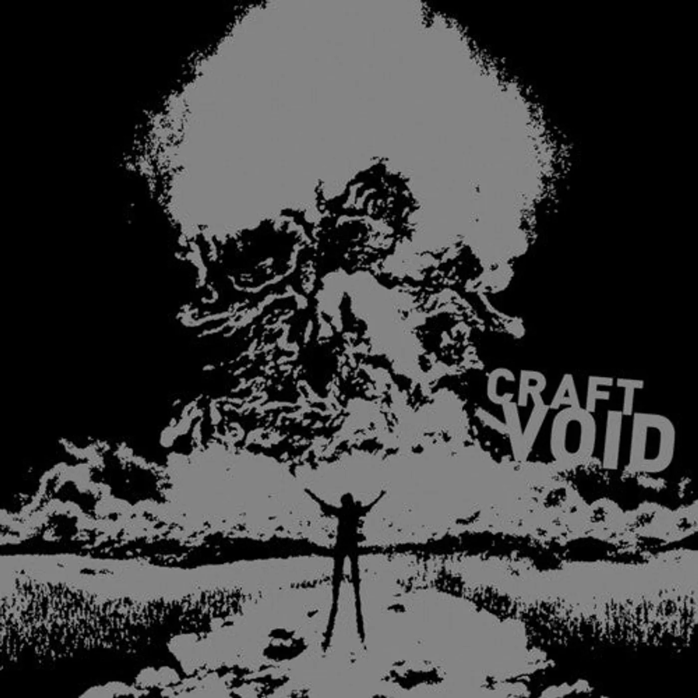 Craft LP Vinyl - Void (Coloured Vinyl) (Ltd) (Slv)