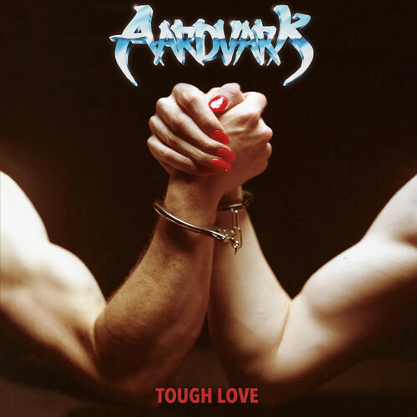 Aardvark LP Vinyl - Tough Love