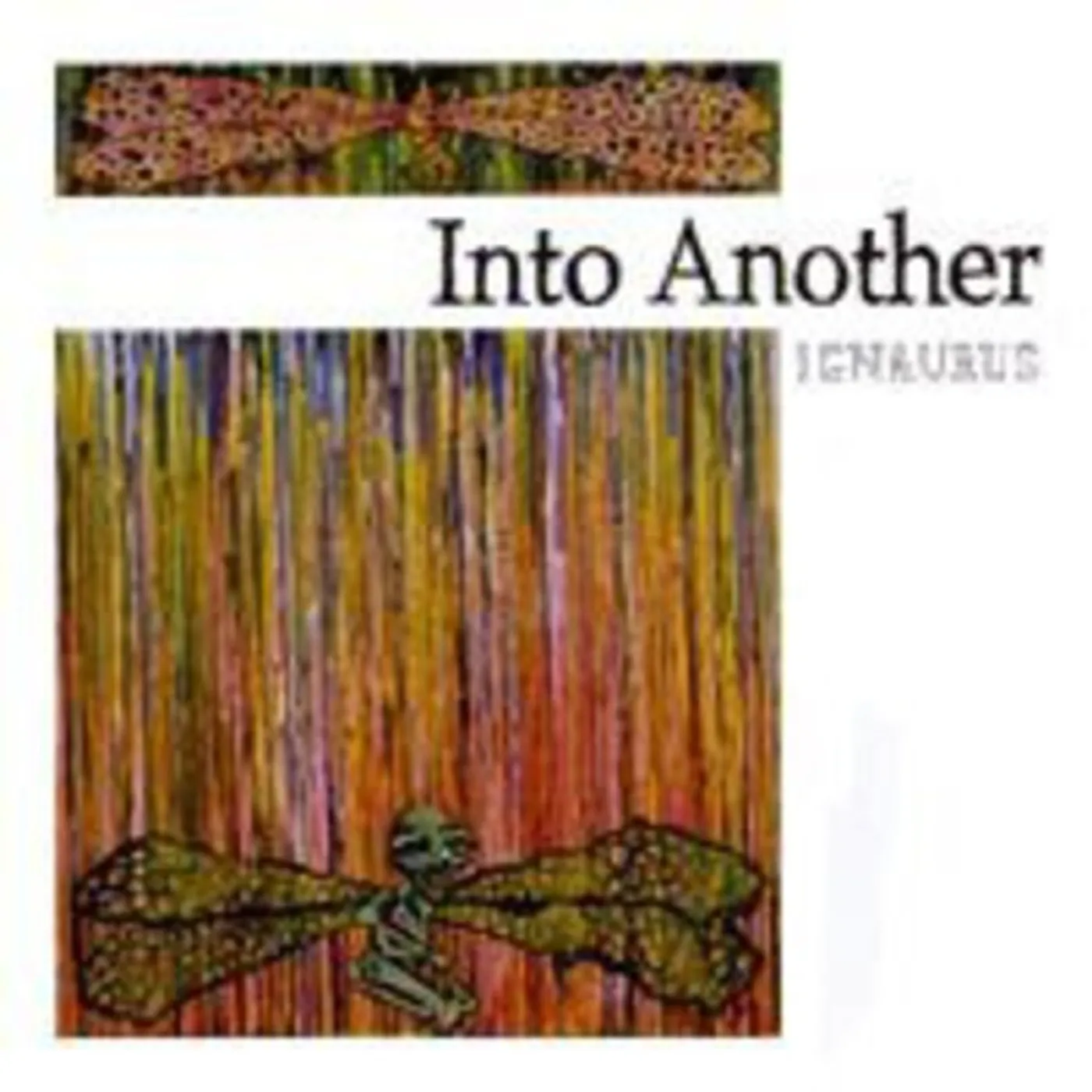 Into Another LP Vinyl - Ignaurus