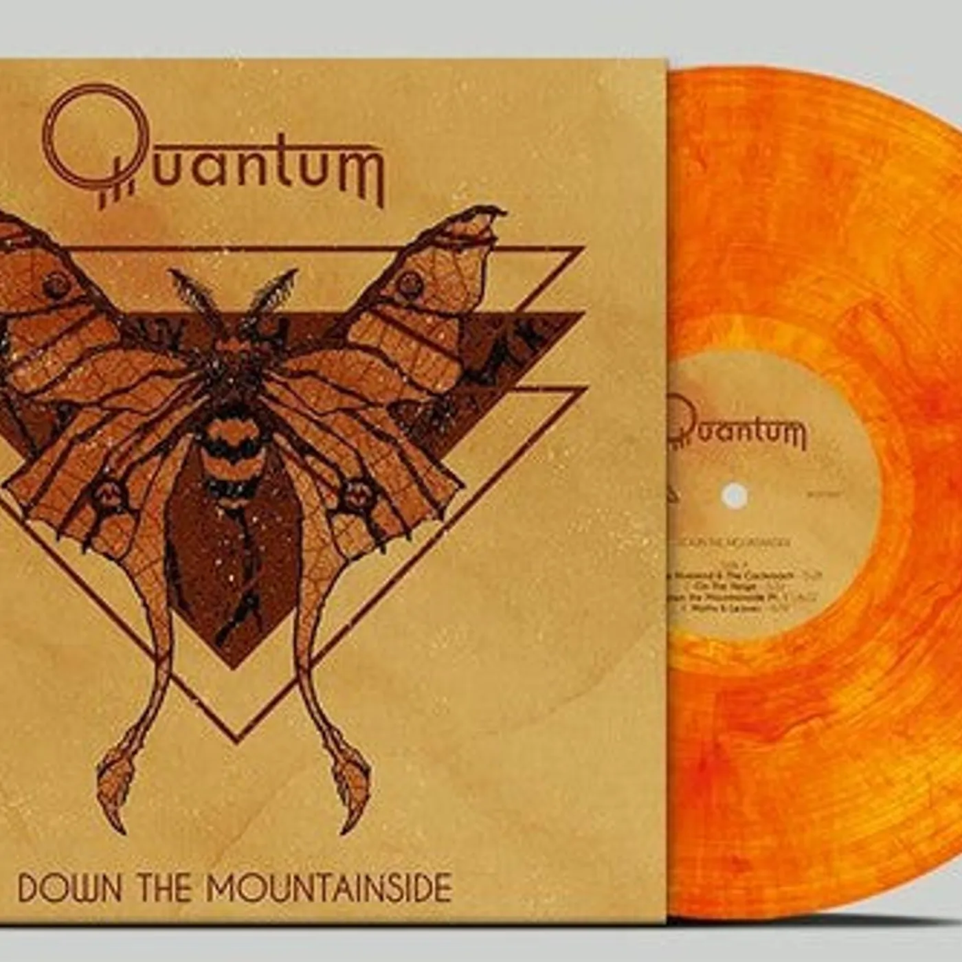 Quantum LP Vinyl - Down The Mountainside - Marbled (Coloured Vinyl)