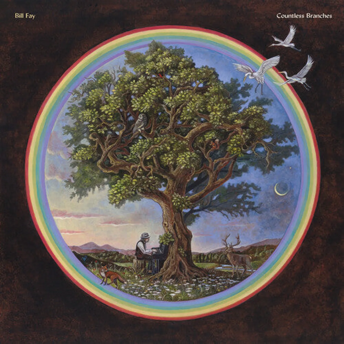 Bill Fay LP Vinyl - Countless Branches