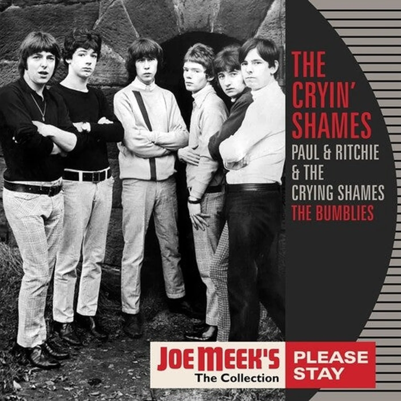 The Cryin Shames LP Vinyl - Please Stay