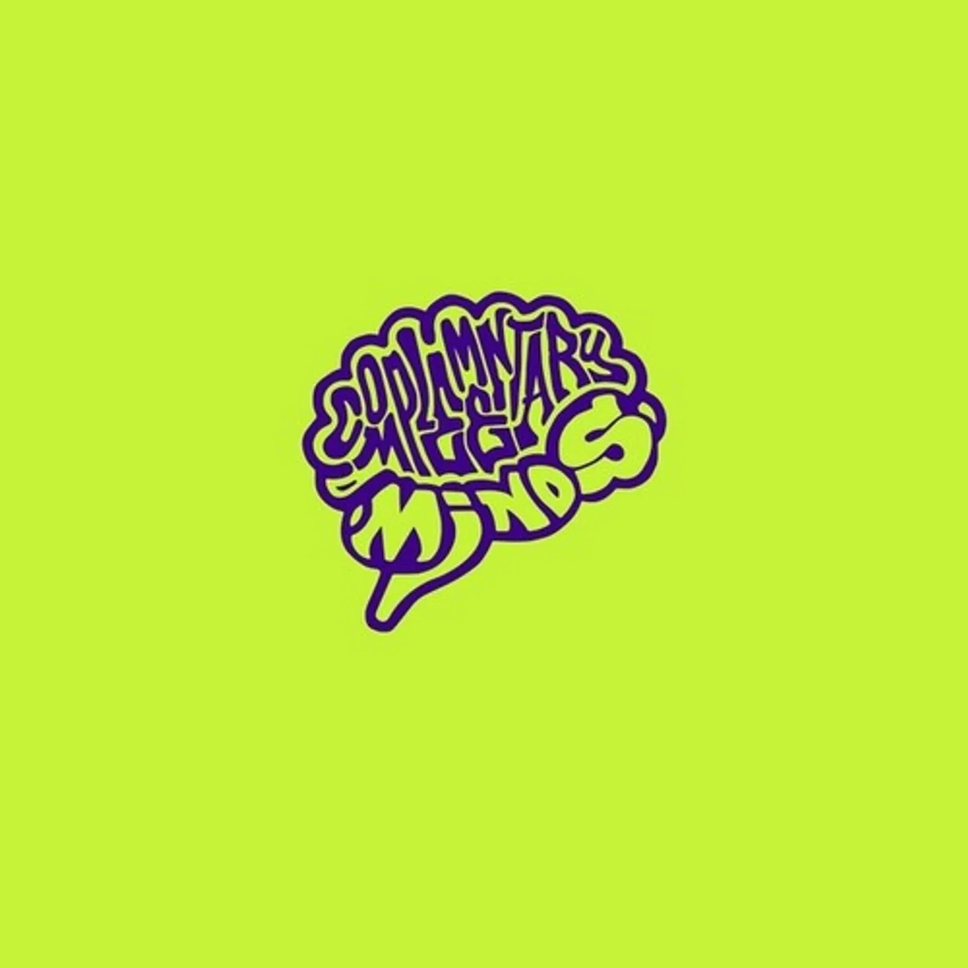 Complementary Minds LP Vinyl - Complementary Minds 2